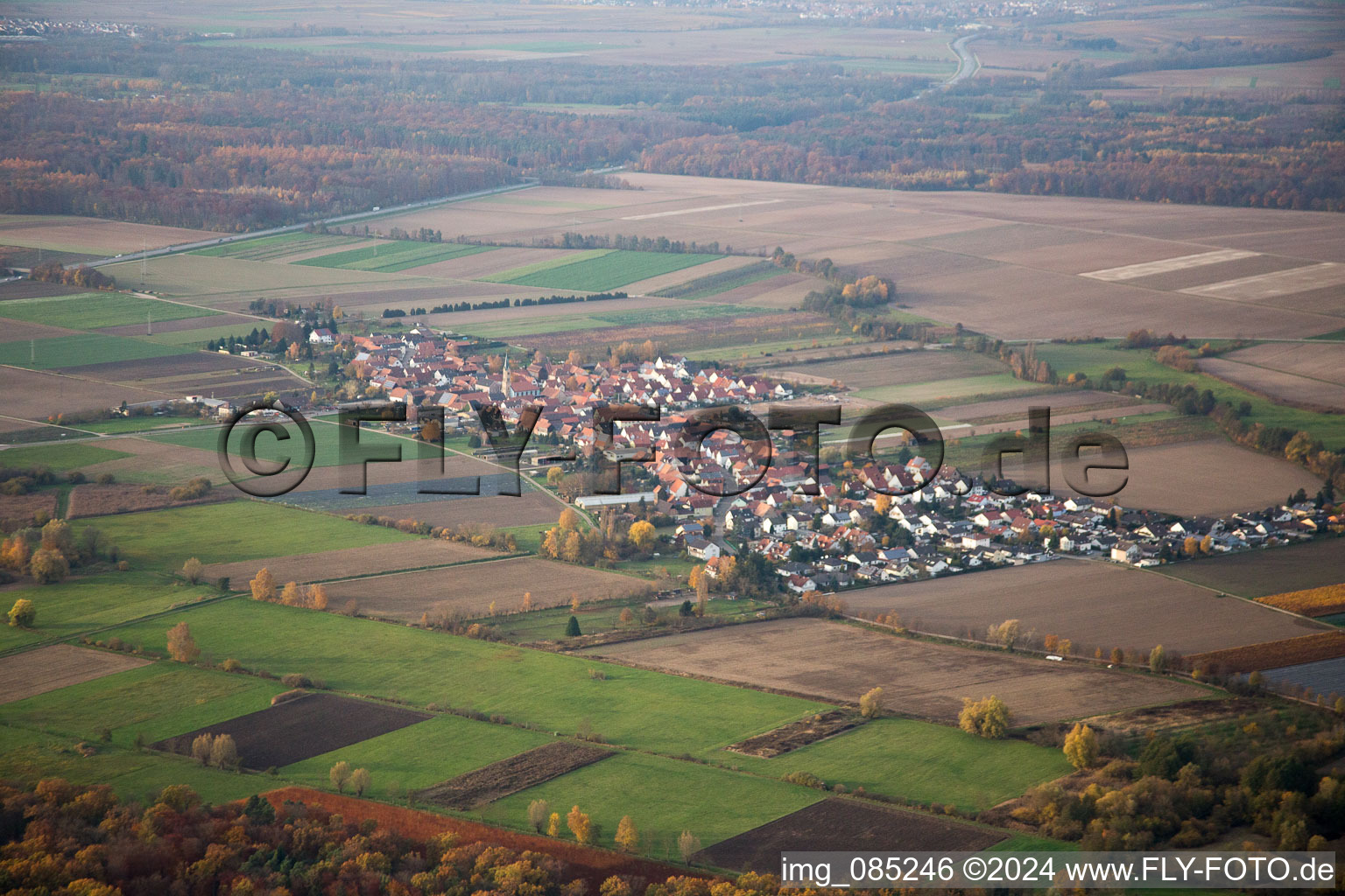 From the southeast in Erlenbach bei Kandel in the state Rhineland-Palatinate, Germany