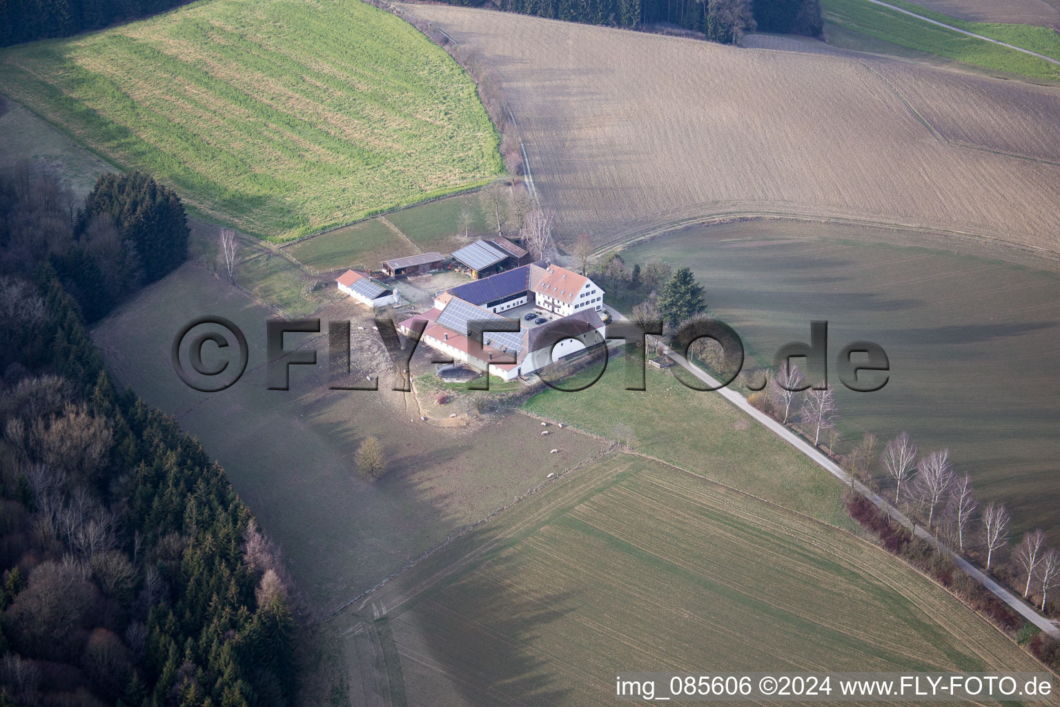 Kieferling in the state Bavaria, Germany