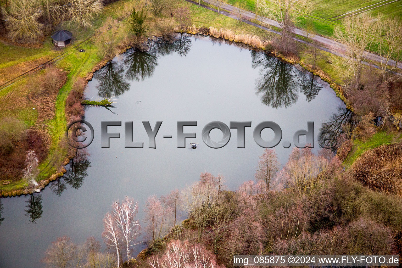 Bio reserve of a pond sorrounded by trees in Winter in Steinfeld in the state Rhineland-Palatinate