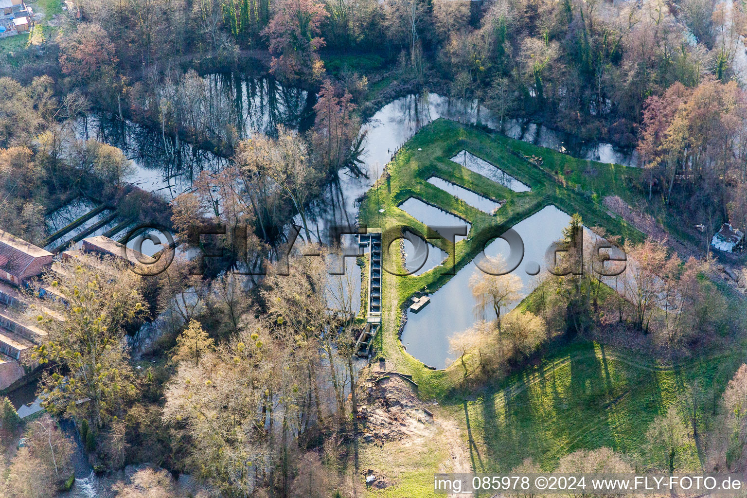 Shore areas of the ponds for fish farming on Lauter in Scheibenhard in Grand Est, France