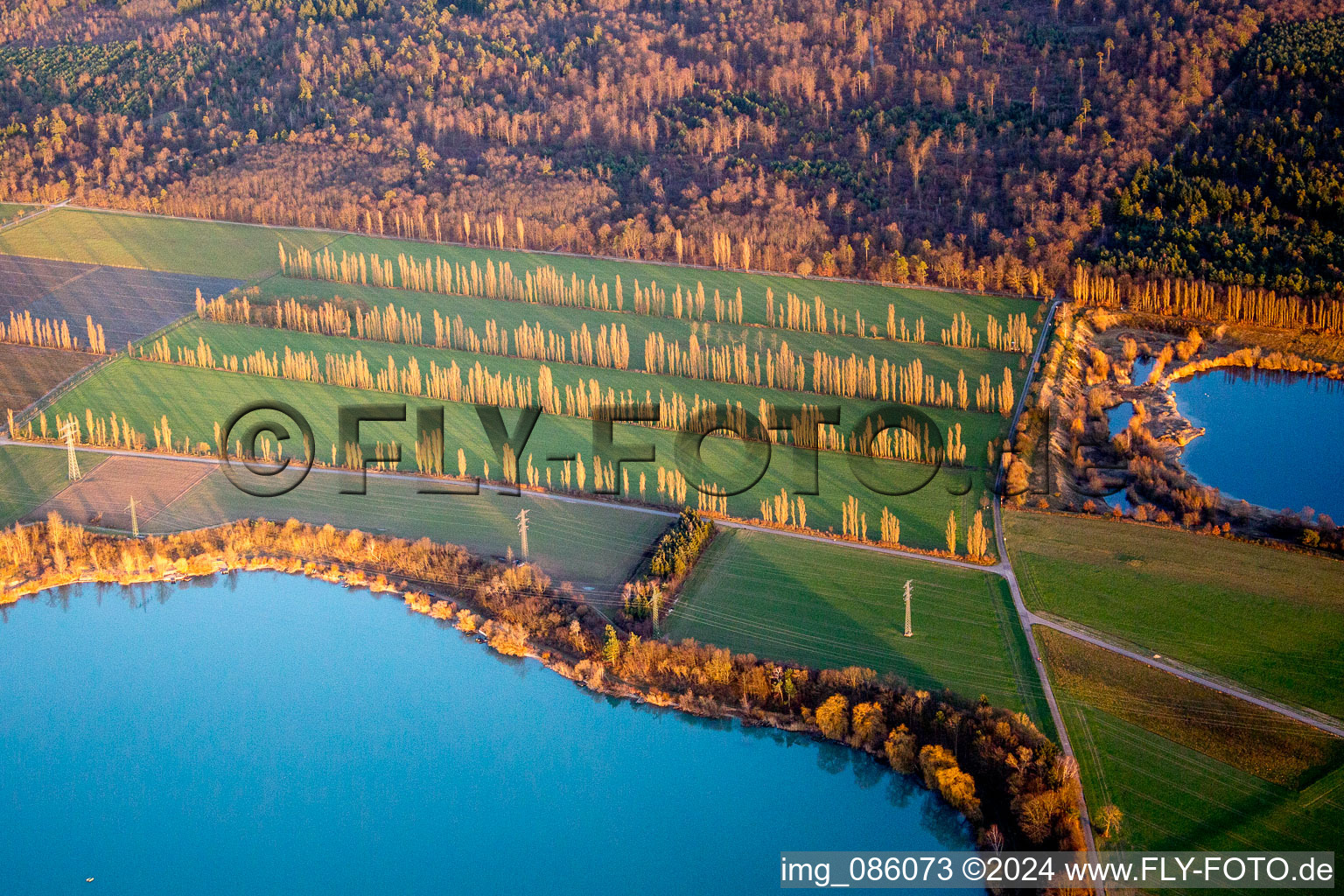 Winterly Riparian areas on the lake area of Kiesweier with rows of poplar trees und high voltage line in evening light in Durmersheim in the state Baden-Wurttemberg