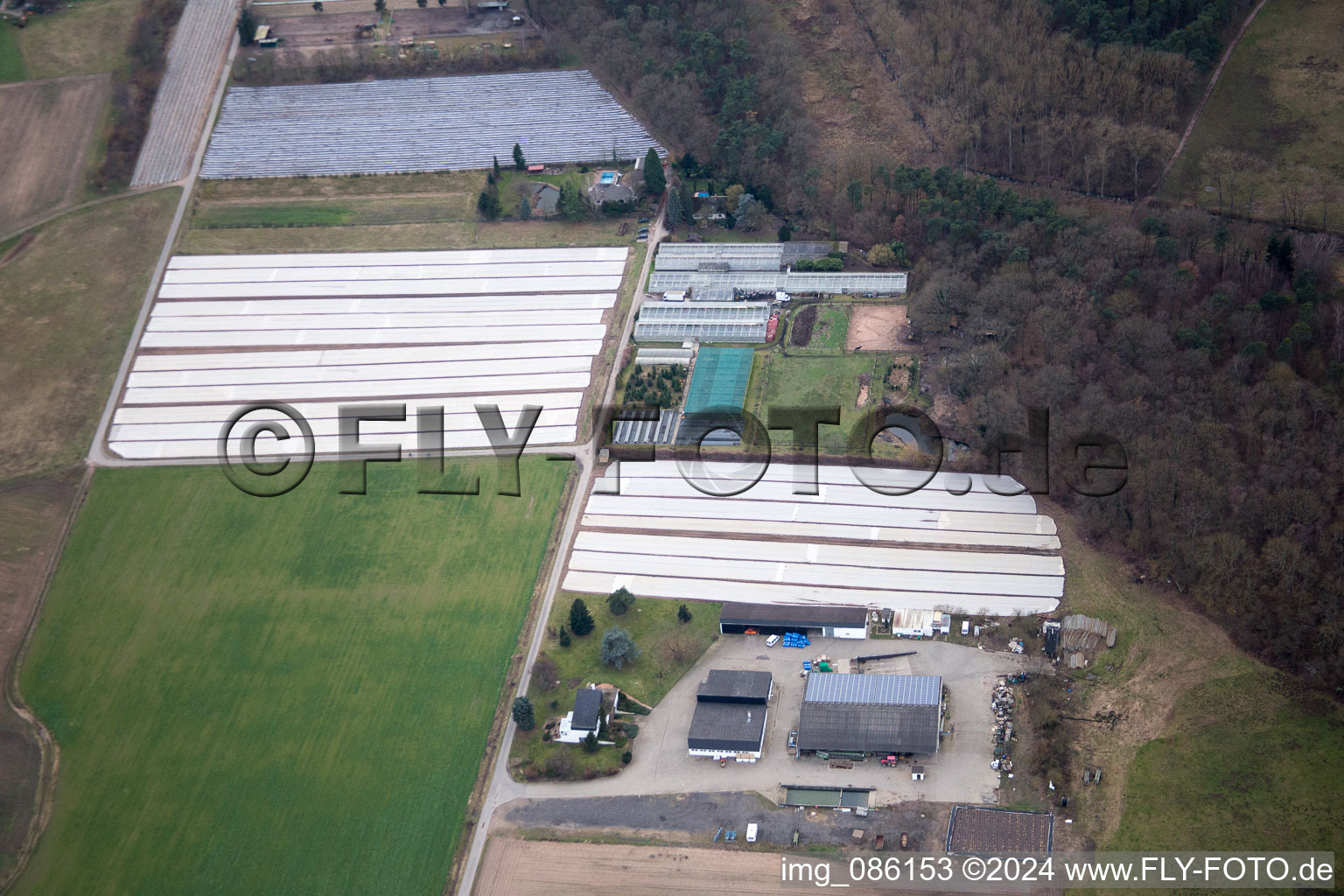 Hanhofen in the state Rhineland-Palatinate, Germany seen from above