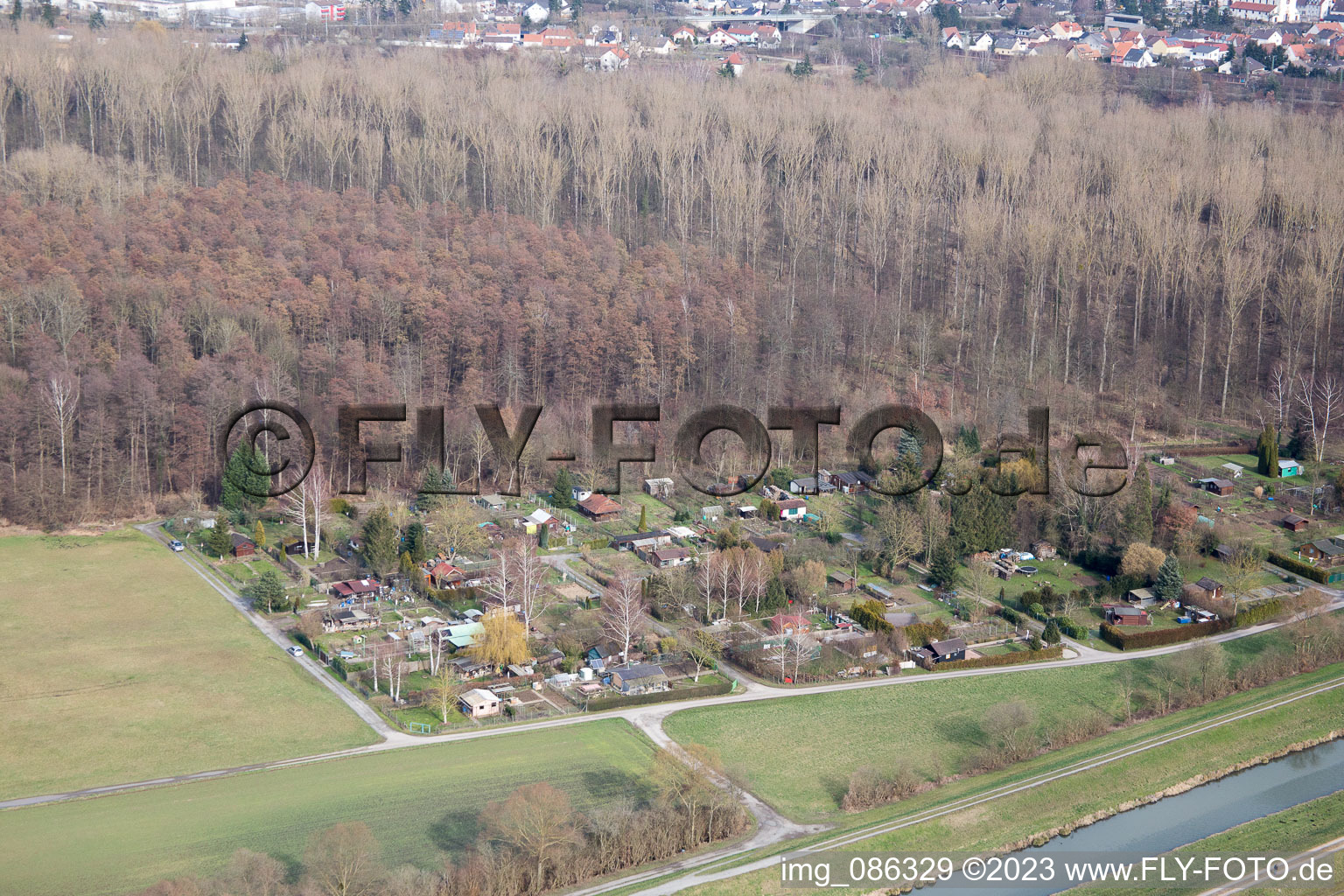 Aerial view of Allotment gardens on the Saalbach Canal in the district Graben in Graben-Neudorf in the state Baden-Wuerttemberg, Germany