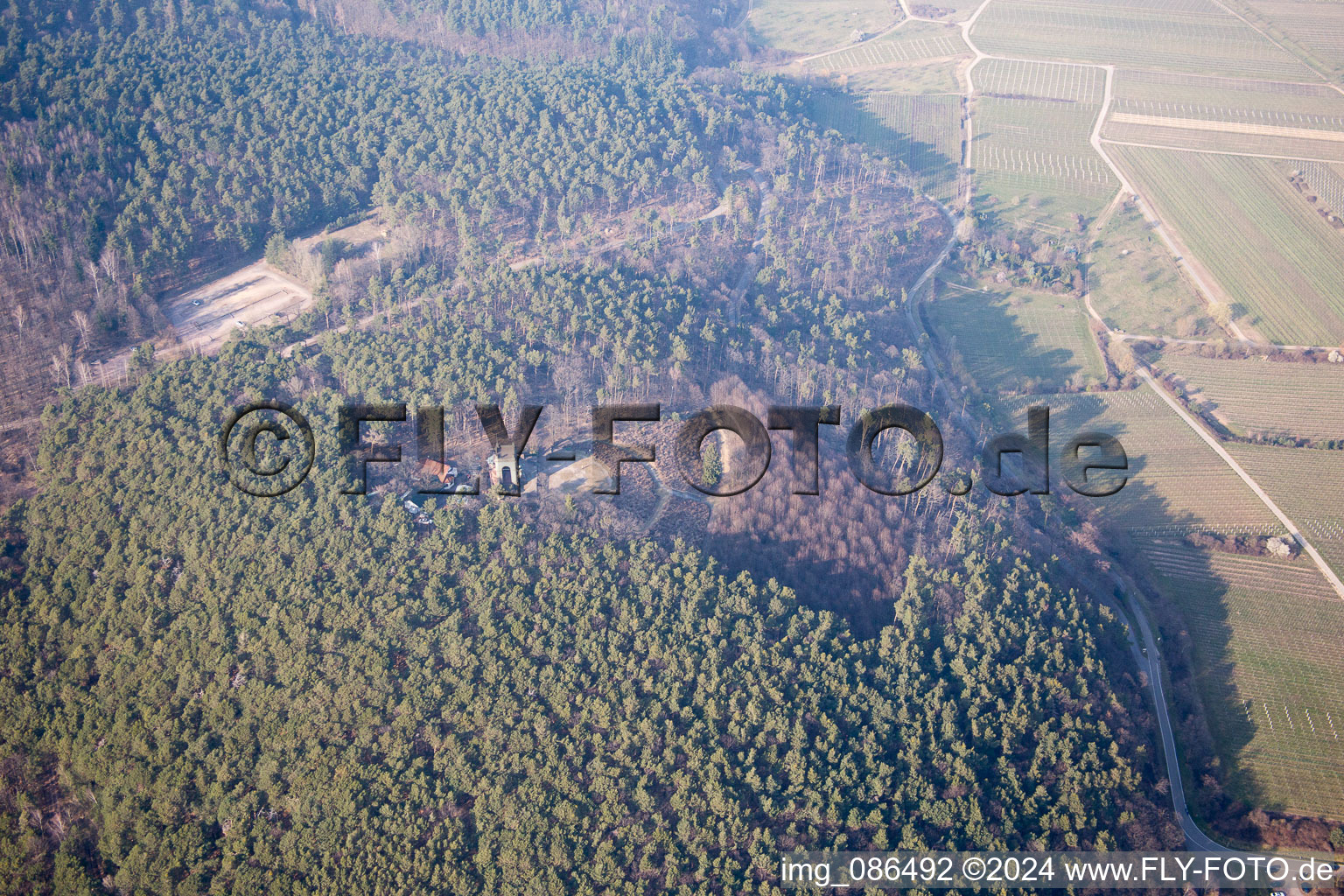 Aerial view of Victory and Peace Monument in Weyher in der Pfalz in the state Rhineland-Palatinate, Germany