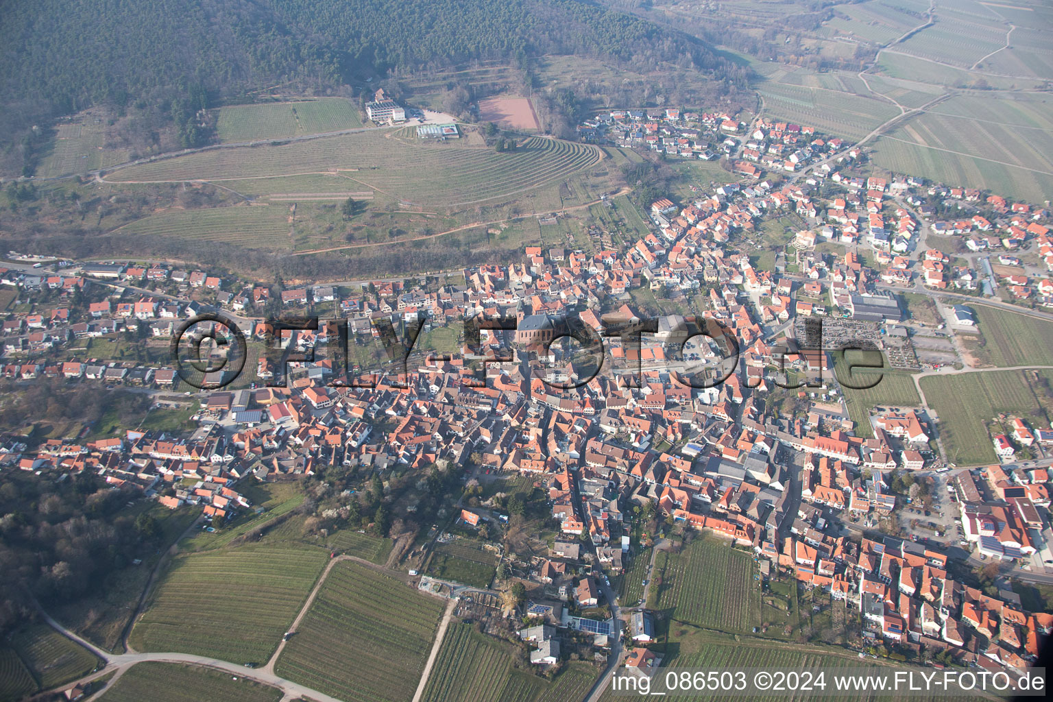 Aerial photograpy of Sankt Martin in the state Rhineland-Palatinate, Germany