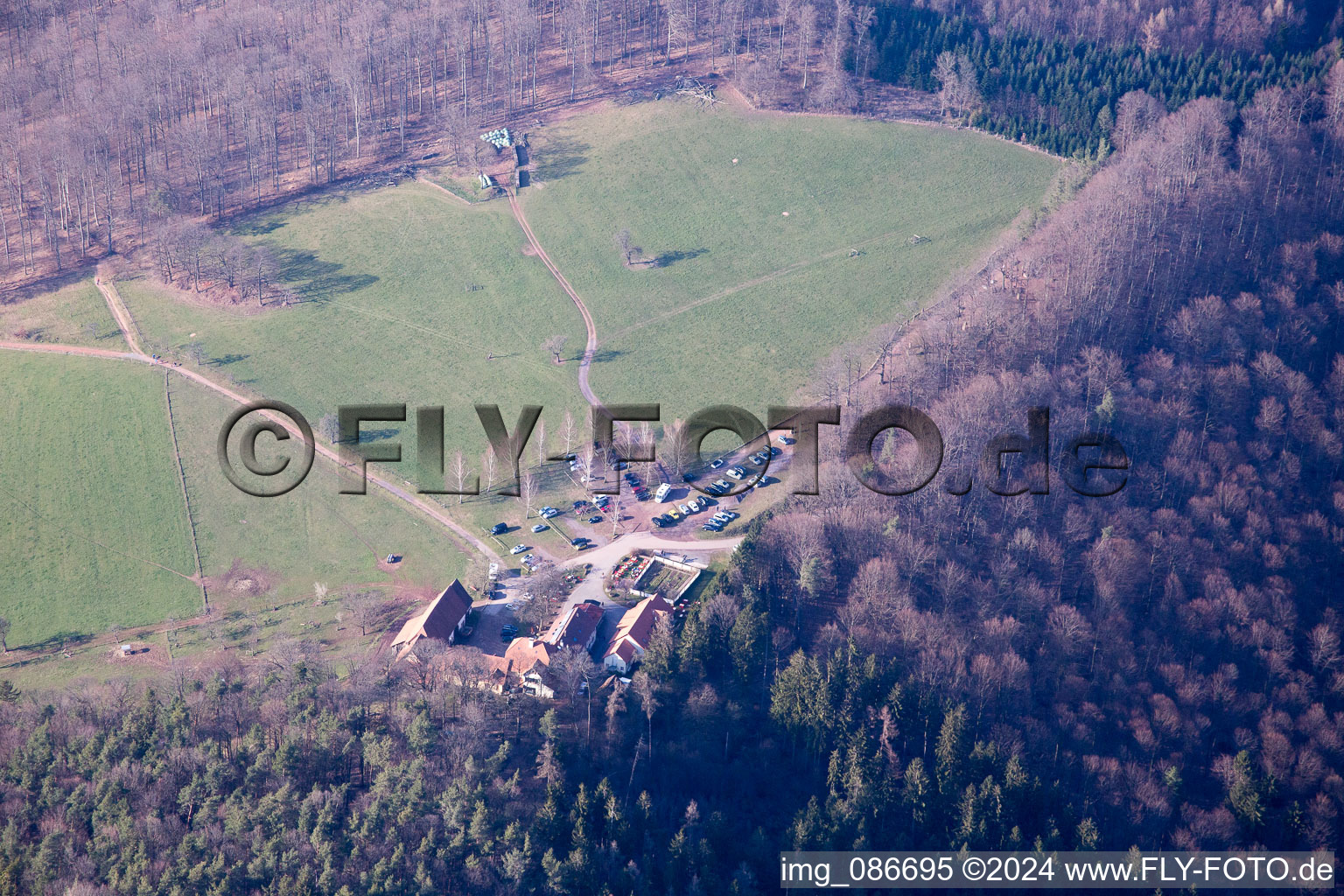 Gimbelhof in Wingen in the state Bas-Rhin, France from above