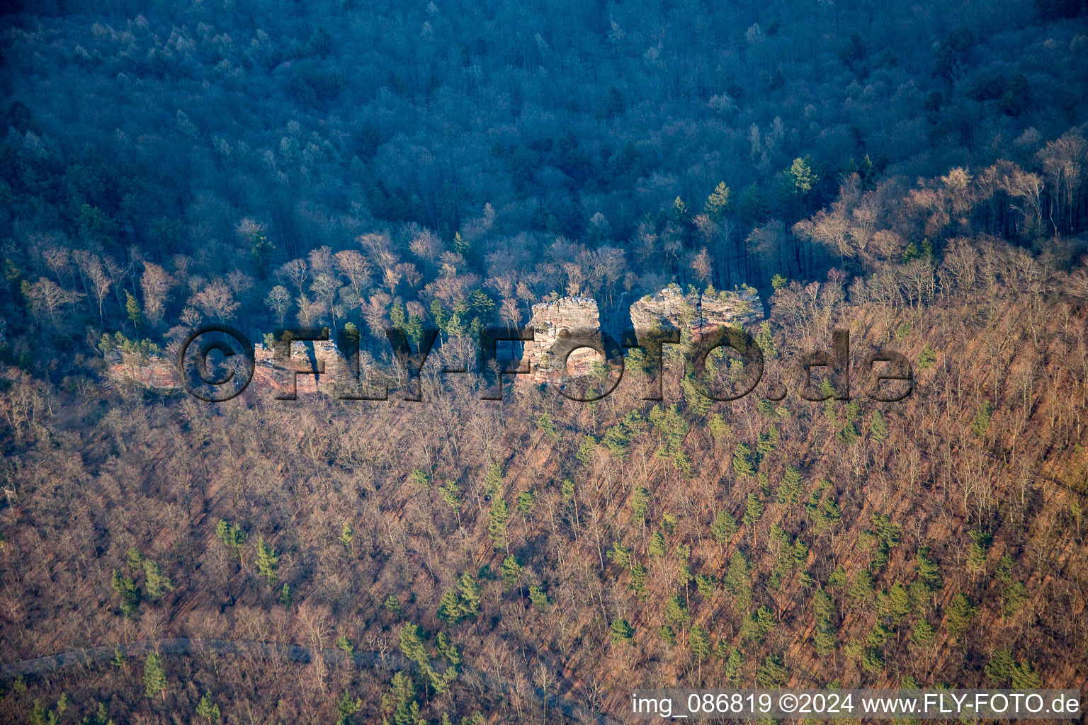 Aerial view of Jungturm Castle Ruins in Leinsweiler in the state Rhineland-Palatinate, Germany