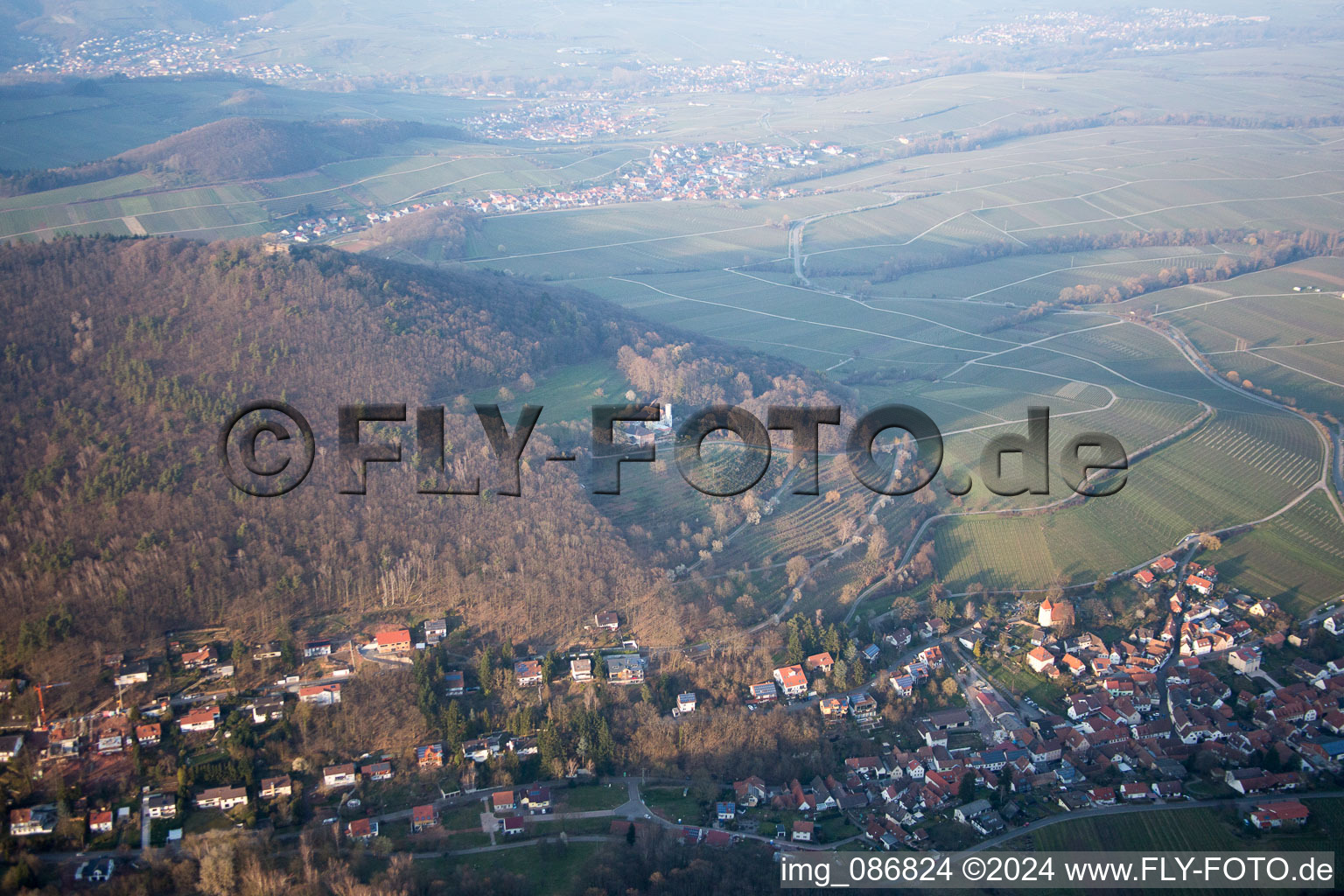 Oblique view of Leinsweiler in the state Rhineland-Palatinate, Germany