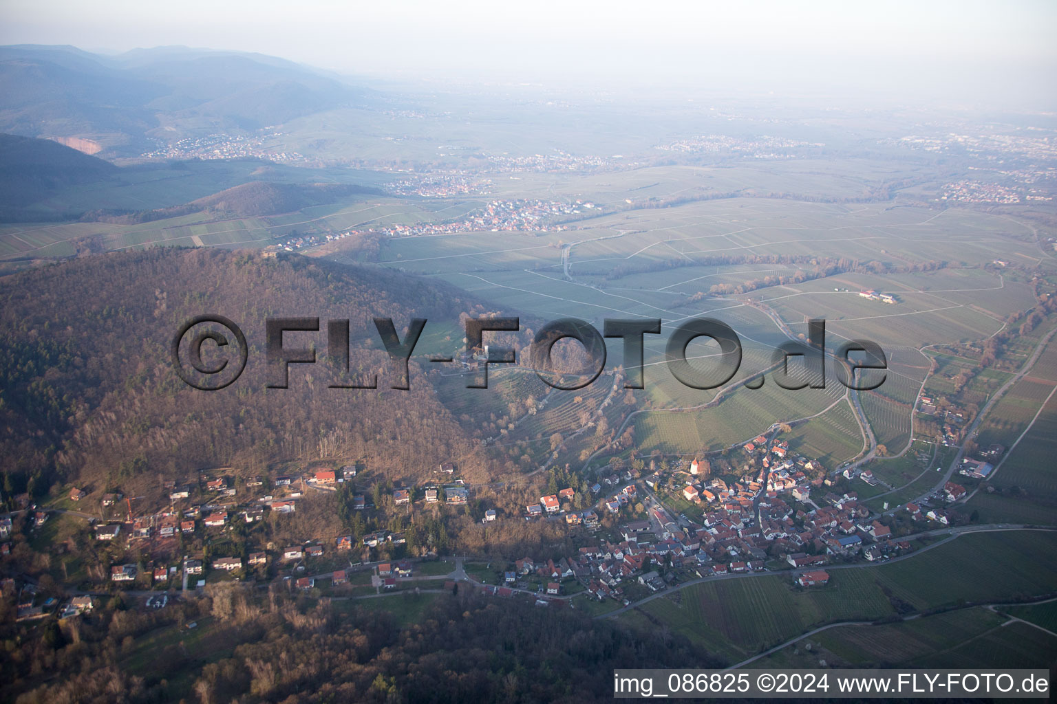 Leinsweiler in the state Rhineland-Palatinate, Germany from above