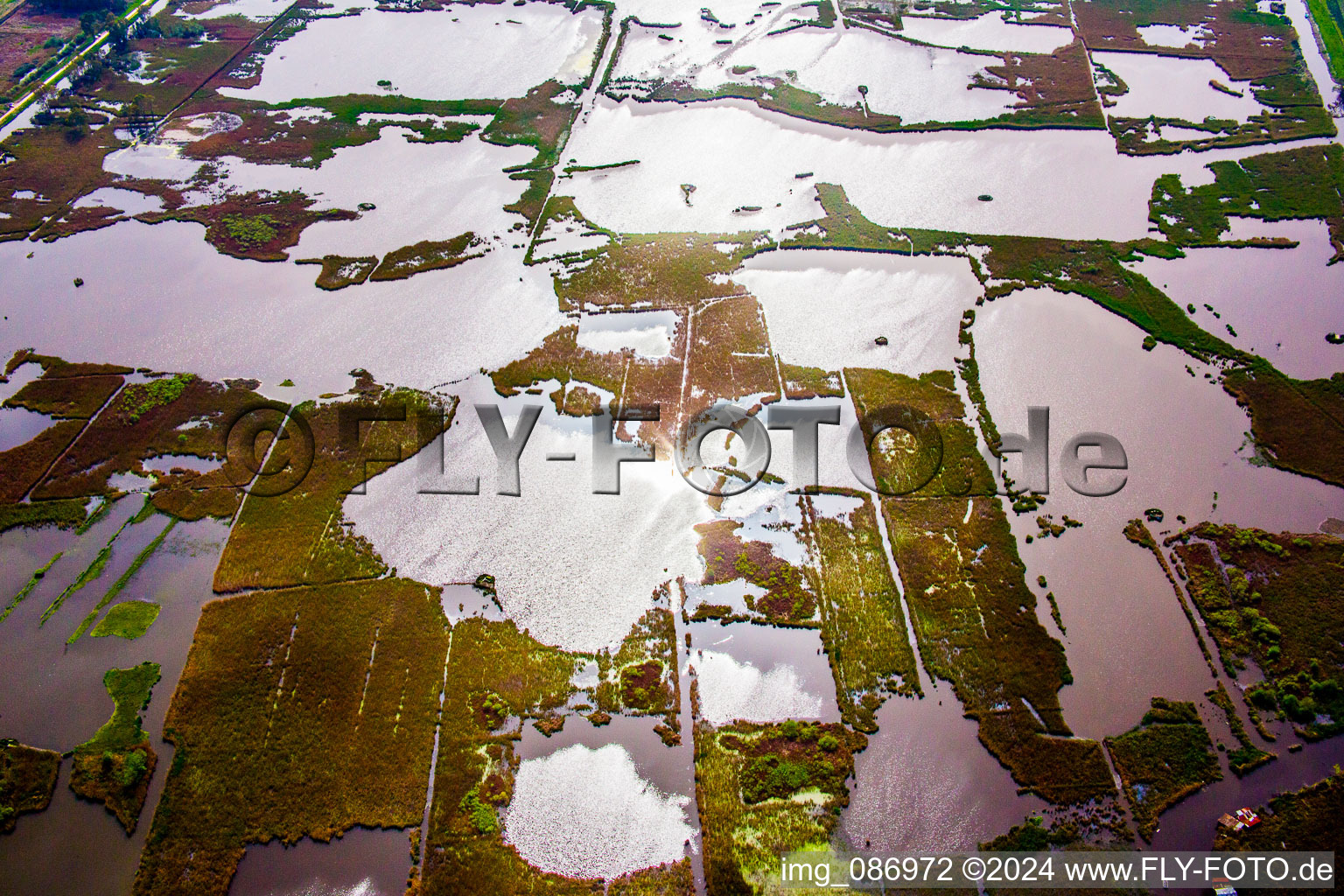 Pond and mud - water surface in a pond landscape of the freshwater lagoon in Massarosa in the state Lucca, Italy