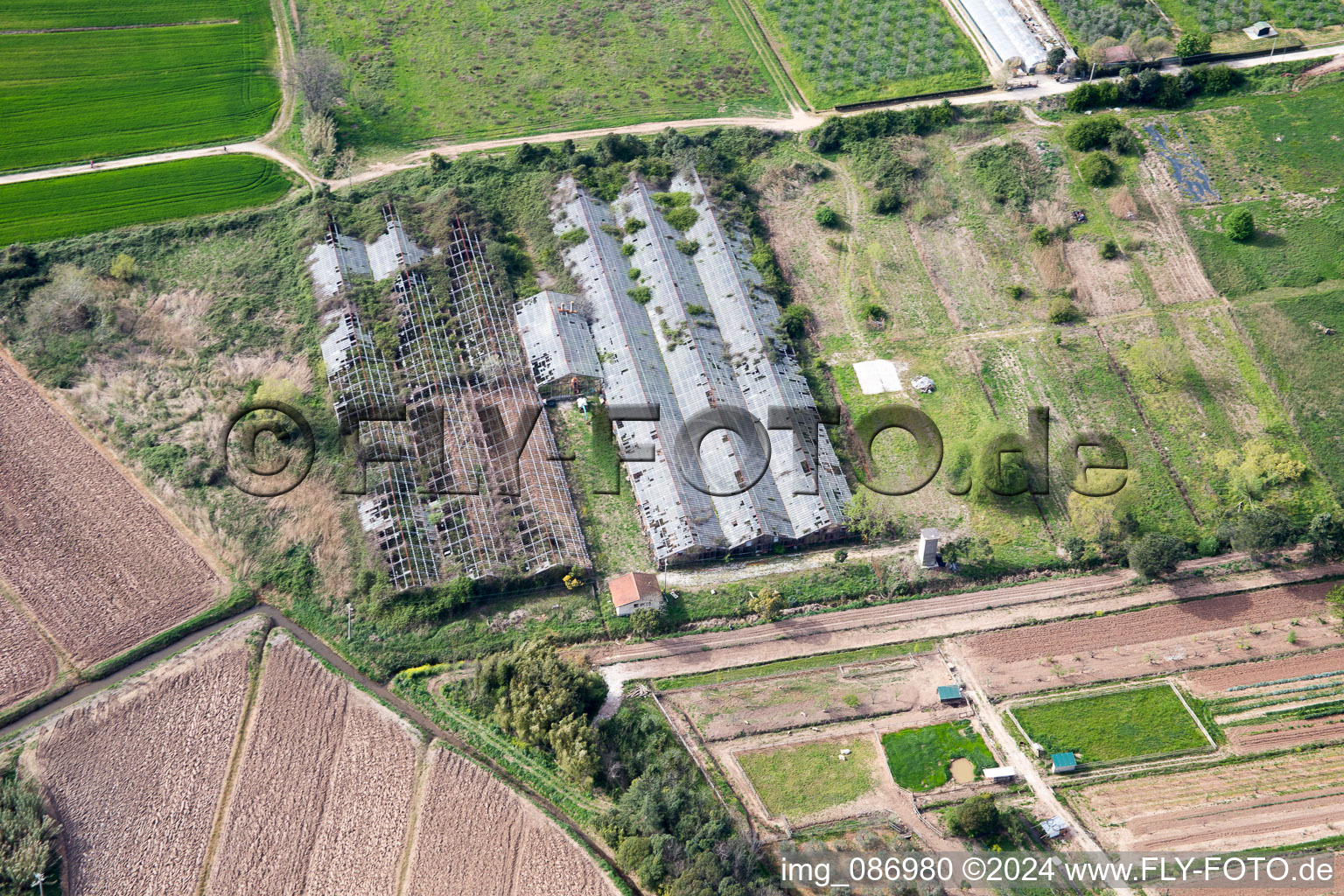 Aerial view of Massarosa in the state Lucca, Italy