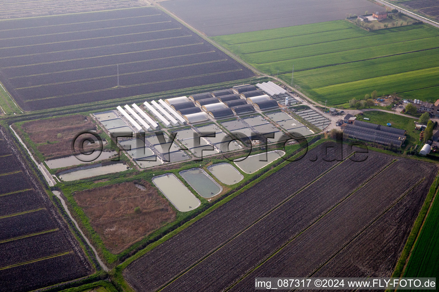 Animal breeding equipment Livestock breeding for meat production in Codigoro in Emilia-Romagna, Italy