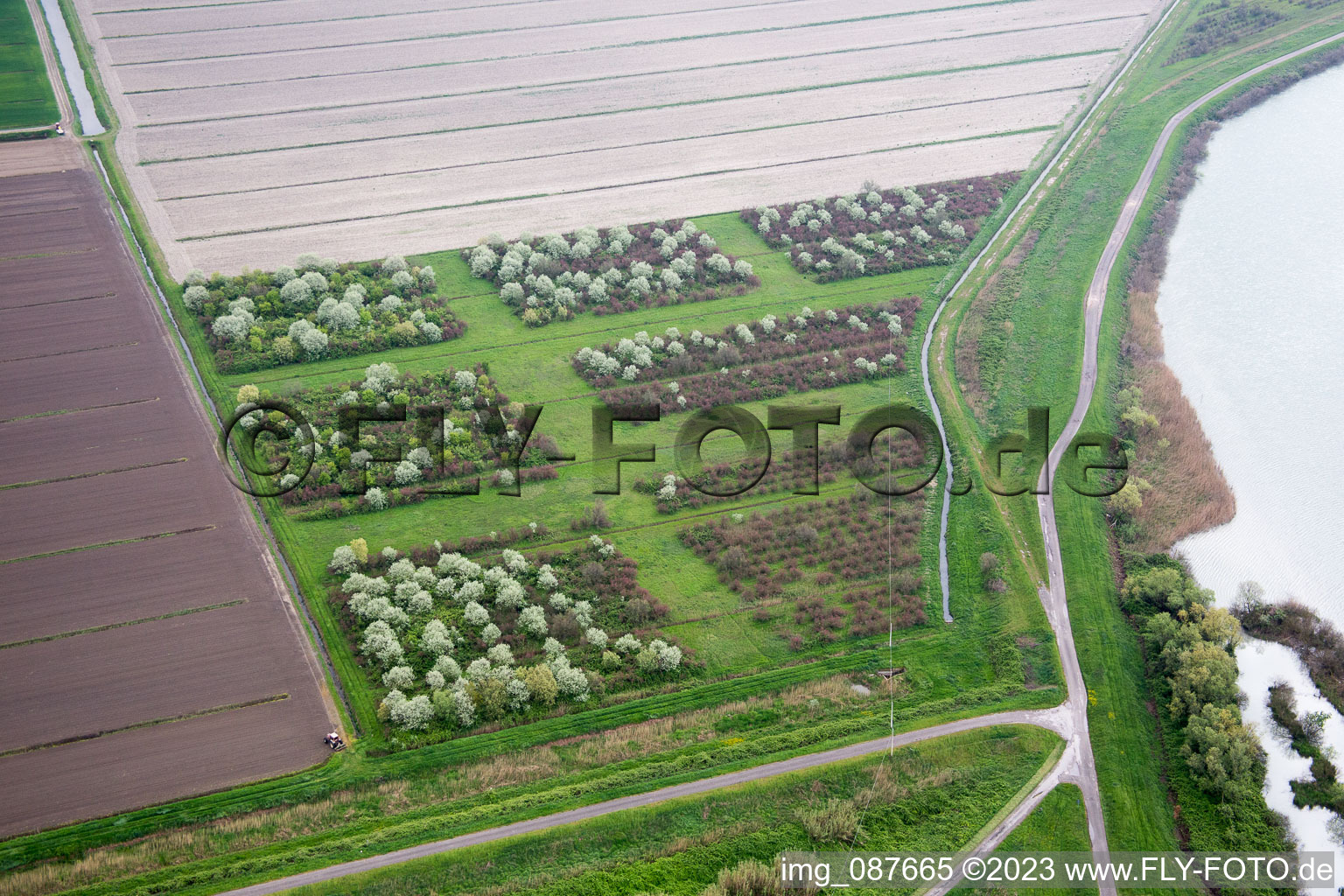 Aerial photograpy of Pellestrina in the state Veneto, Italy