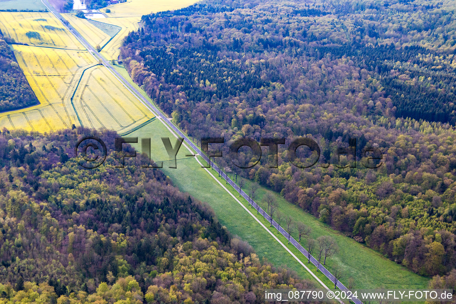 Bürgerwald in the state Bavaria, Germany