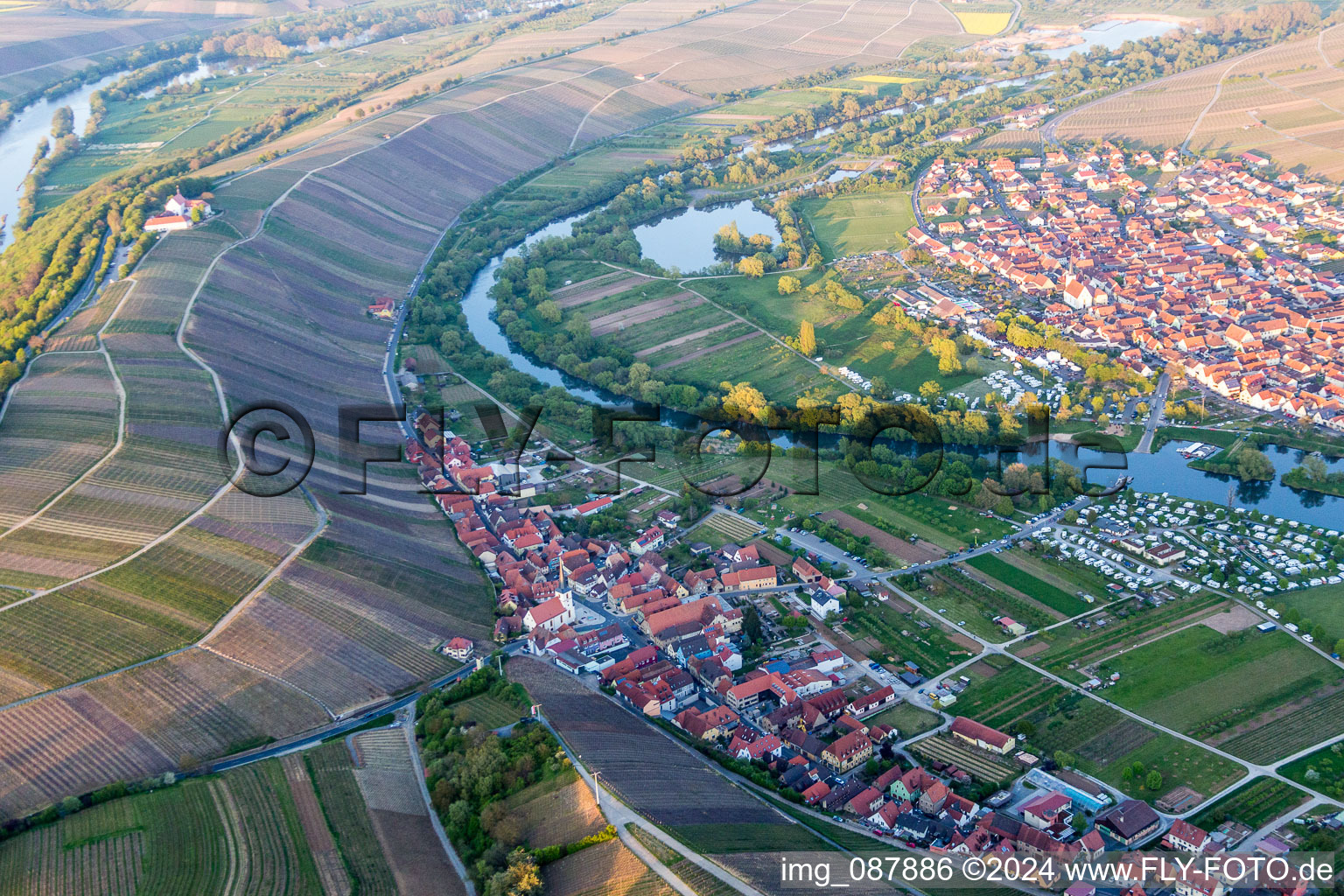 Fields of wine cultivation landscape in Nordheim am Main in the state Bavaria, Germany