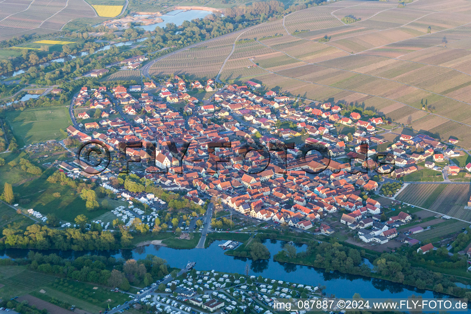 Fields of wine cultivation landscape in Nordheim am Main in the state Bavaria, Germany