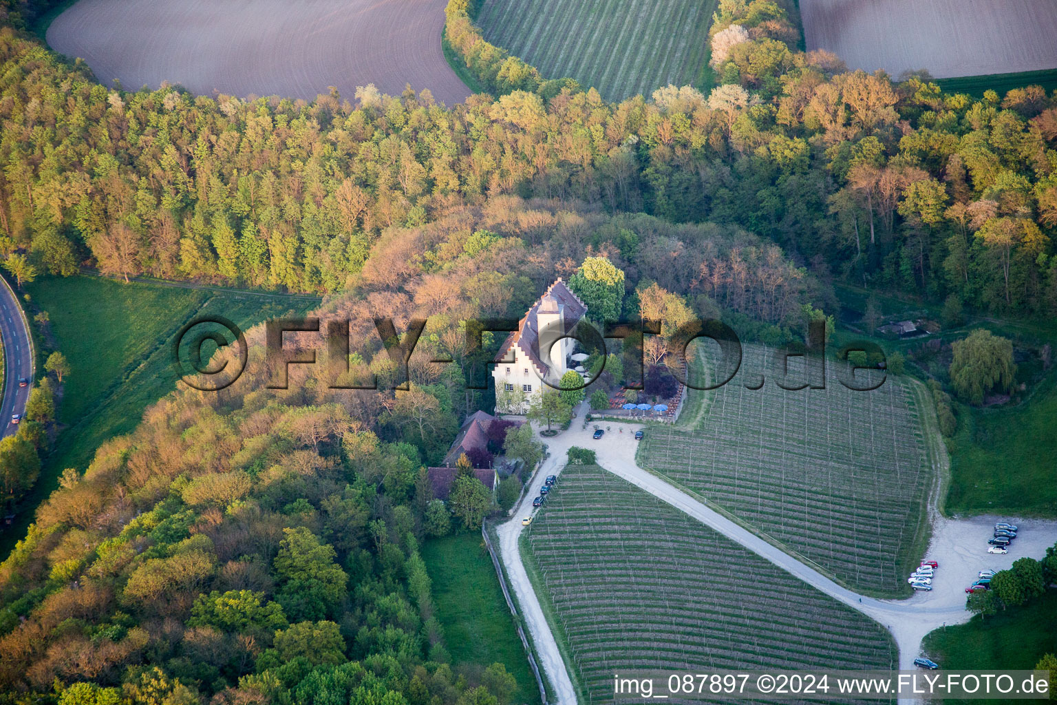 Castle of Hallburg Vinothek with wine yard in Volkach in the state Bavaria, Germany