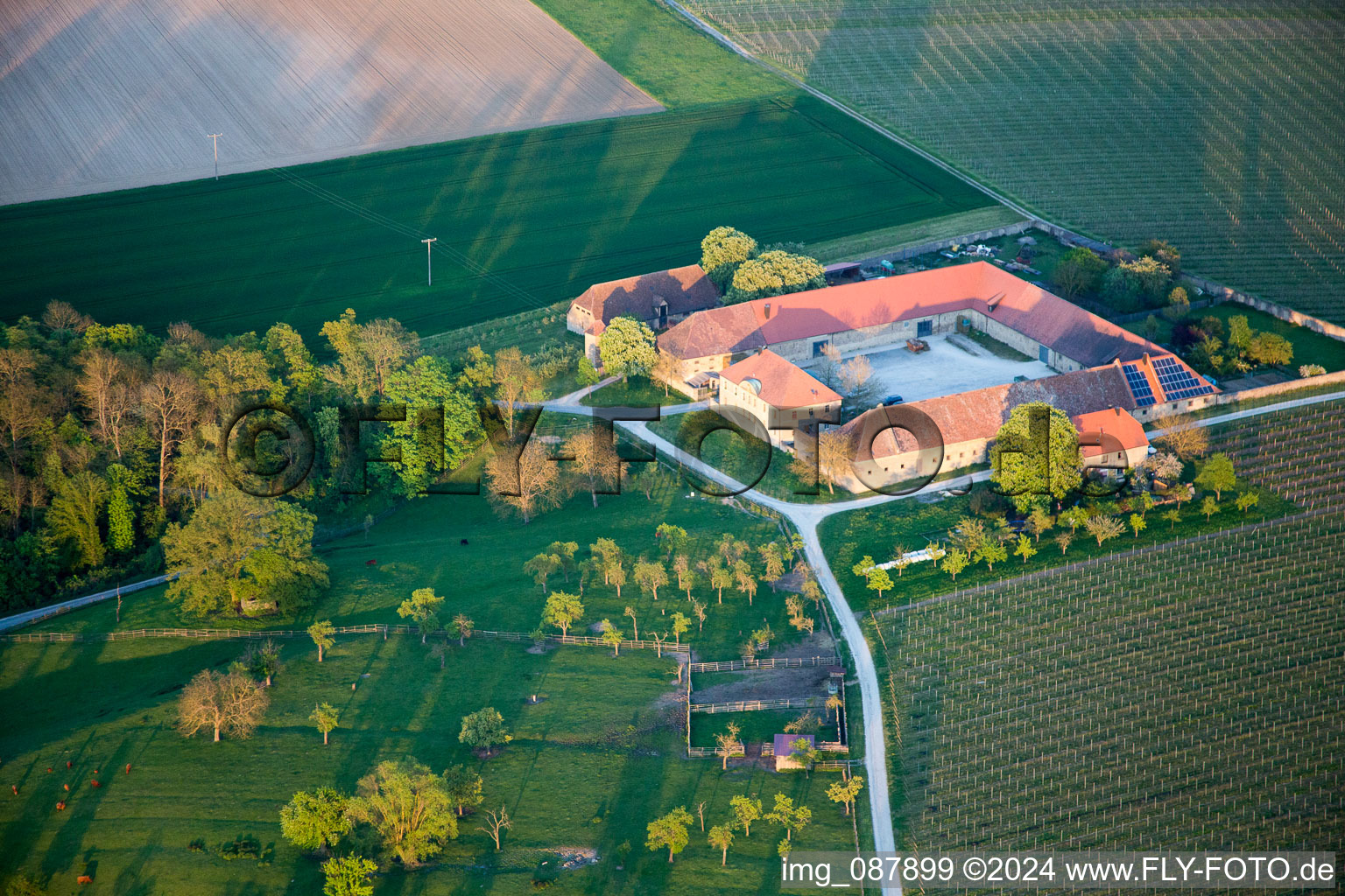 Homestead of a farm in Volkach in the state Bavaria, Germany