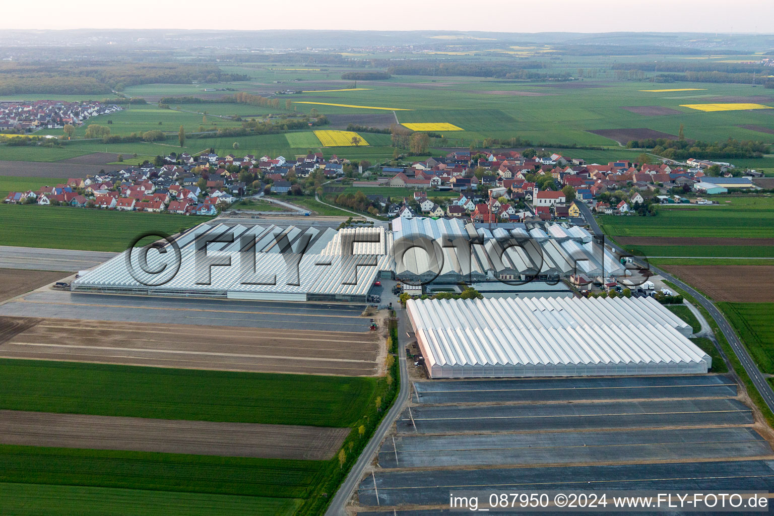 Oblique view of Glass roof surfaces in the greenhouse rows for Floriculture in the district Oberspiesheim in Kolitzheim in the state Bavaria, Germany