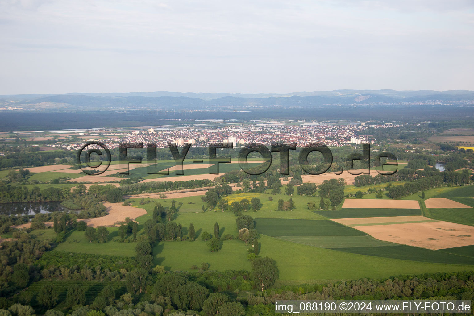 Bird's eye view of Lampertheim in the state Hesse, Germany