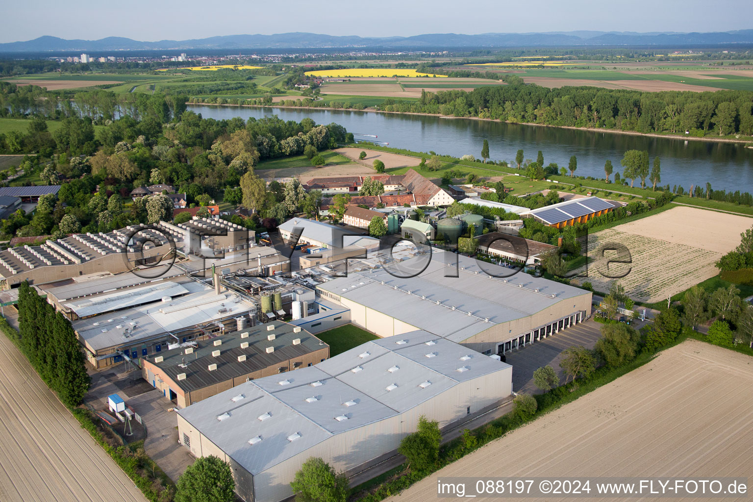 Oblique view of Petersau in the state Rhineland-Palatinate, Germany