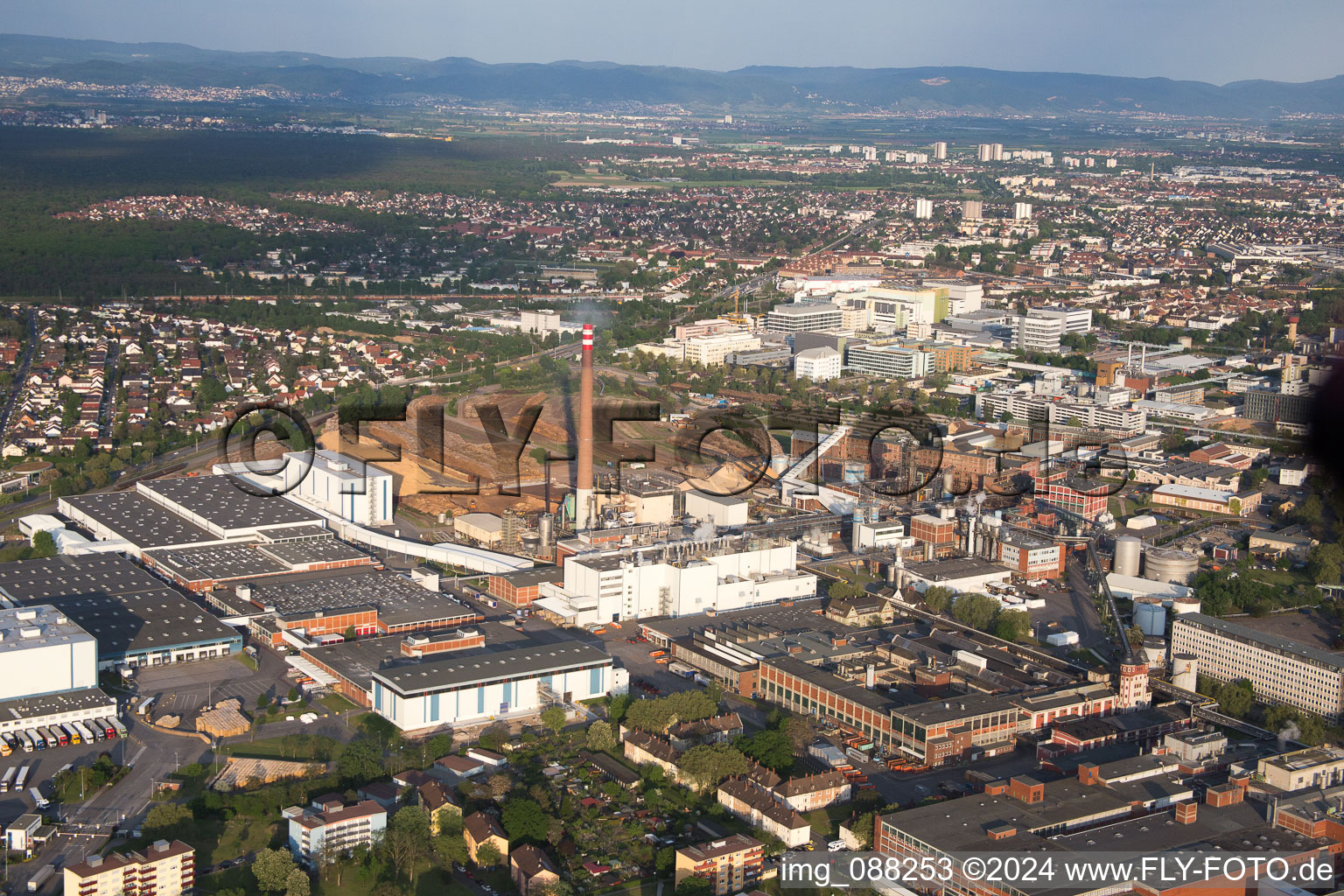 Essity in the district Sandhofen in Mannheim in the state Baden-Wuerttemberg, Germany