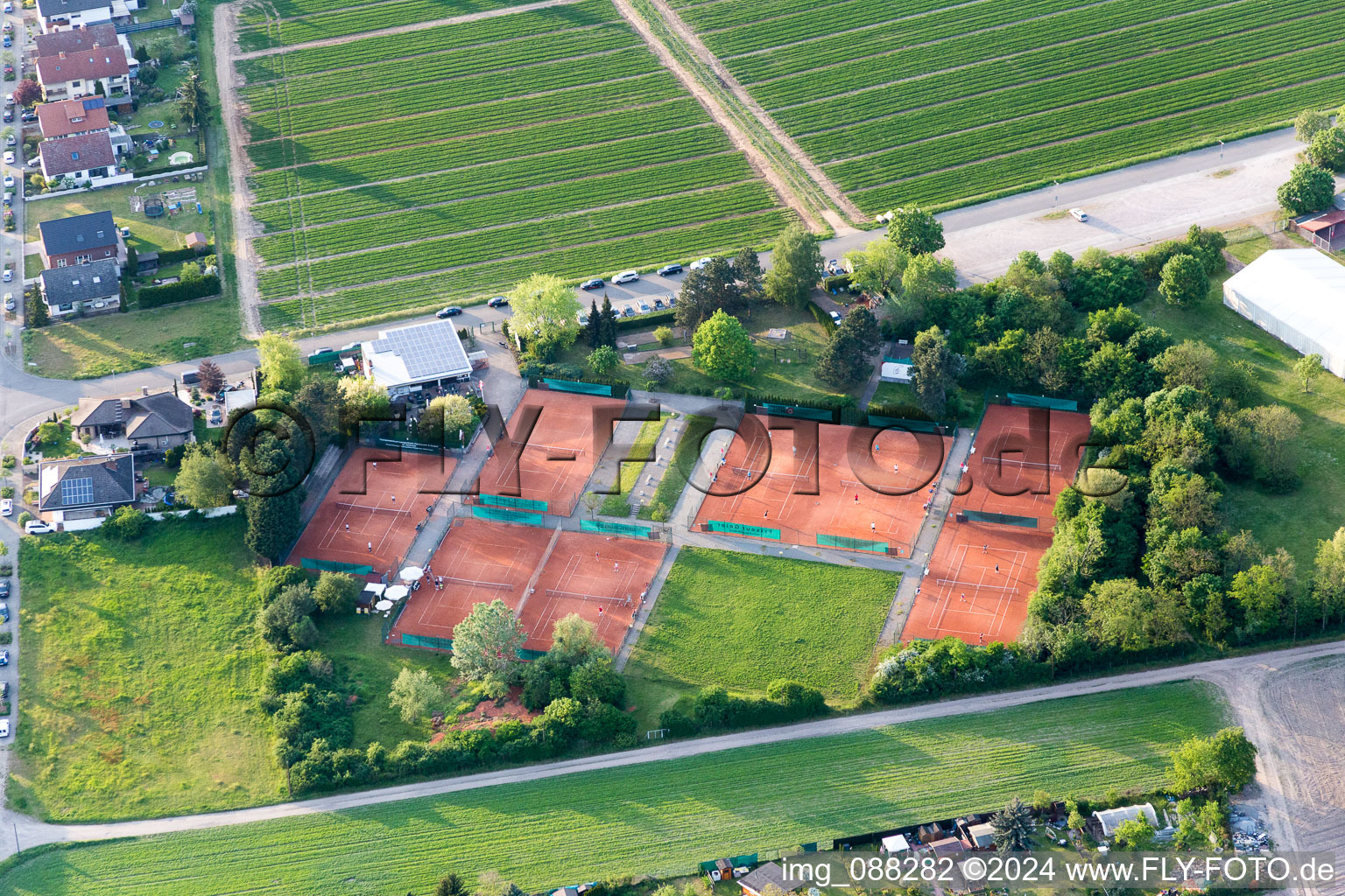 Tennis court sports field of Tennisclub Rot-Weiss in Lampertheim in the state Hesse, Germany