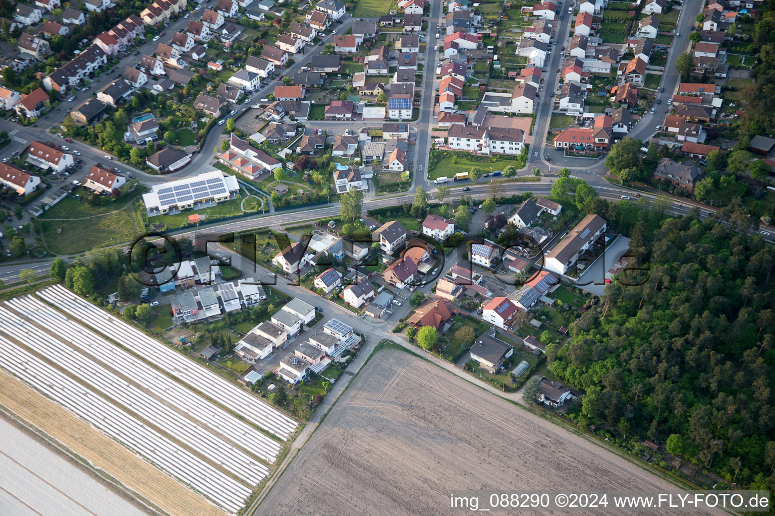 Birkenweg in the district Neuschloß in Lampertheim in the state Hesse, Germany