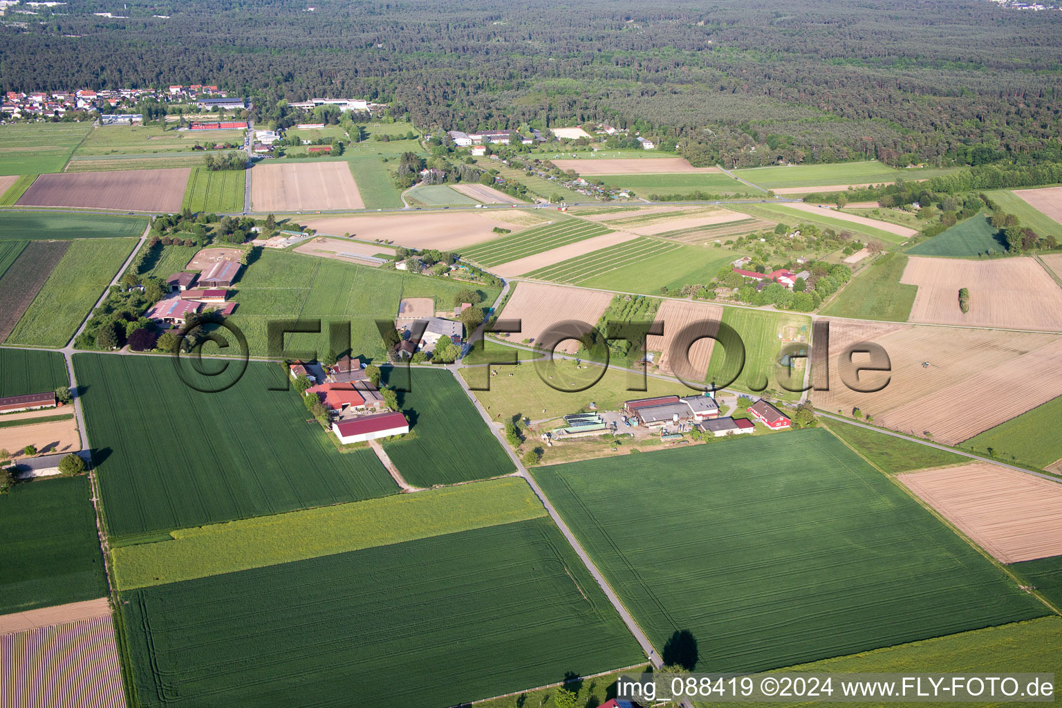 Pfungstadt in the state Hesse, Germany