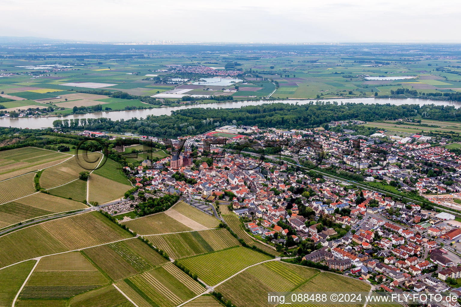 Aerial view of Town on the banks of the river of the Rhine river in Oppenheim in the state Rhineland-Palatinate, Germany