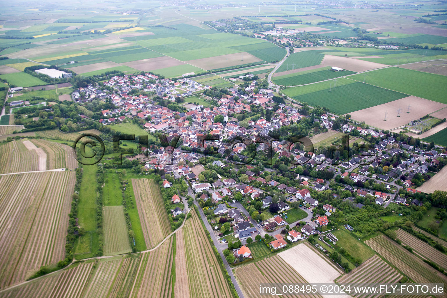 Dexheim in the state Rhineland-Palatinate, Germany