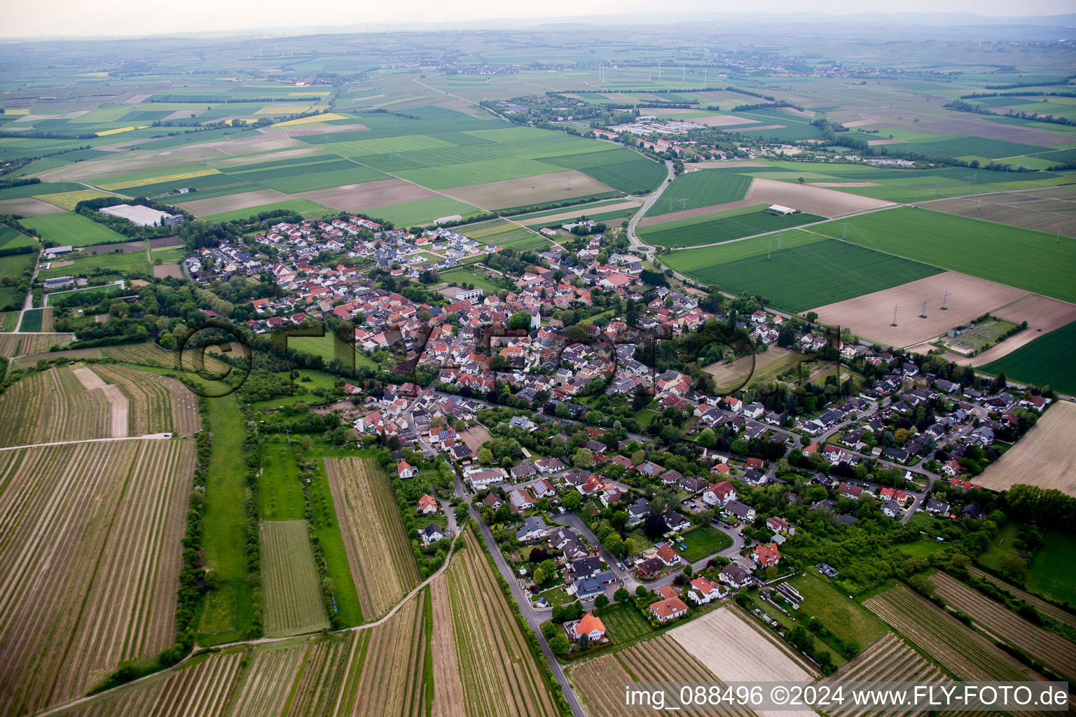 Aerial view of Dexheim in the state Rhineland-Palatinate, Germany