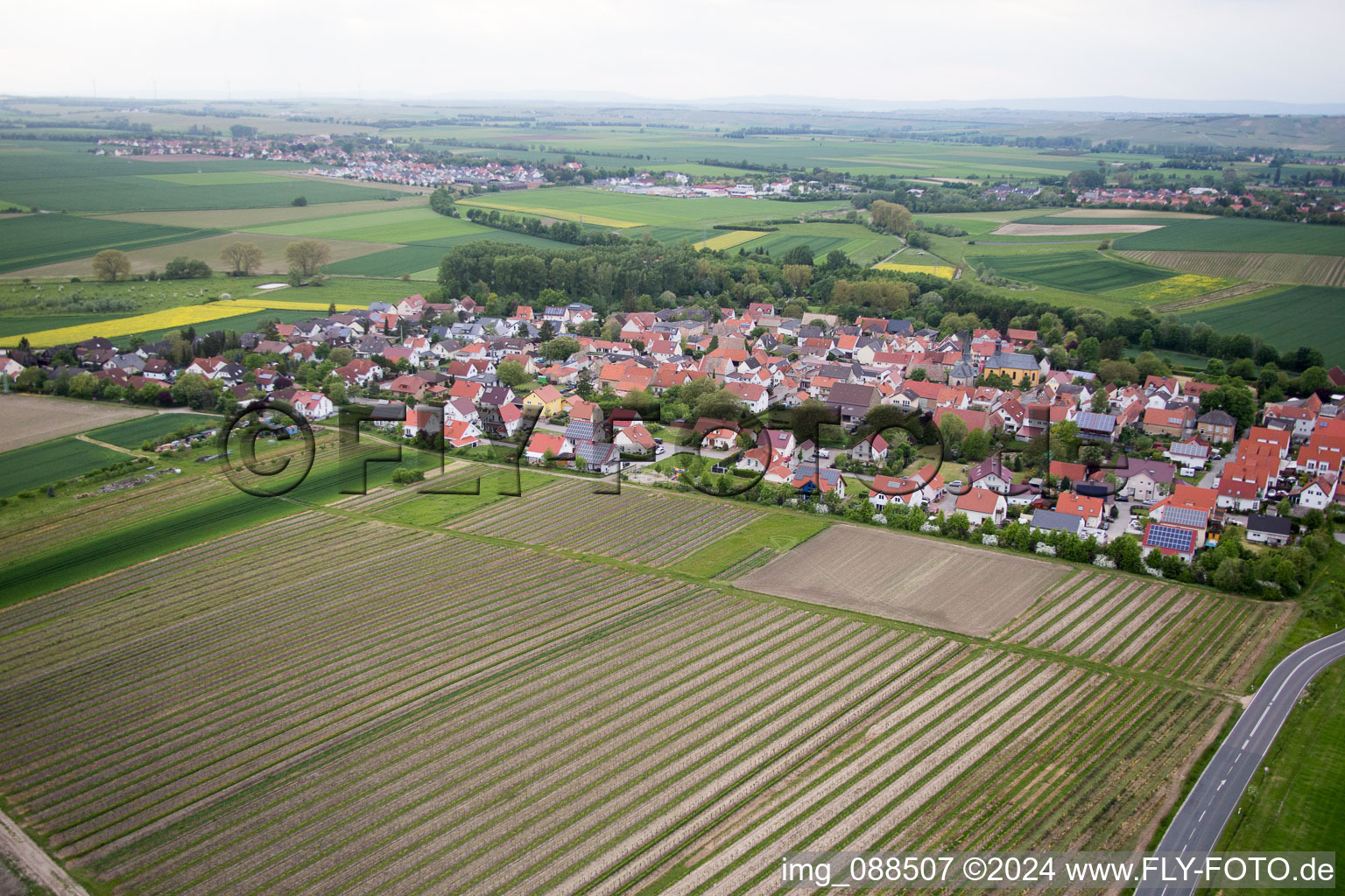 Rhine Hesse in Friesenheim in the state Rhineland-Palatinate, Germany