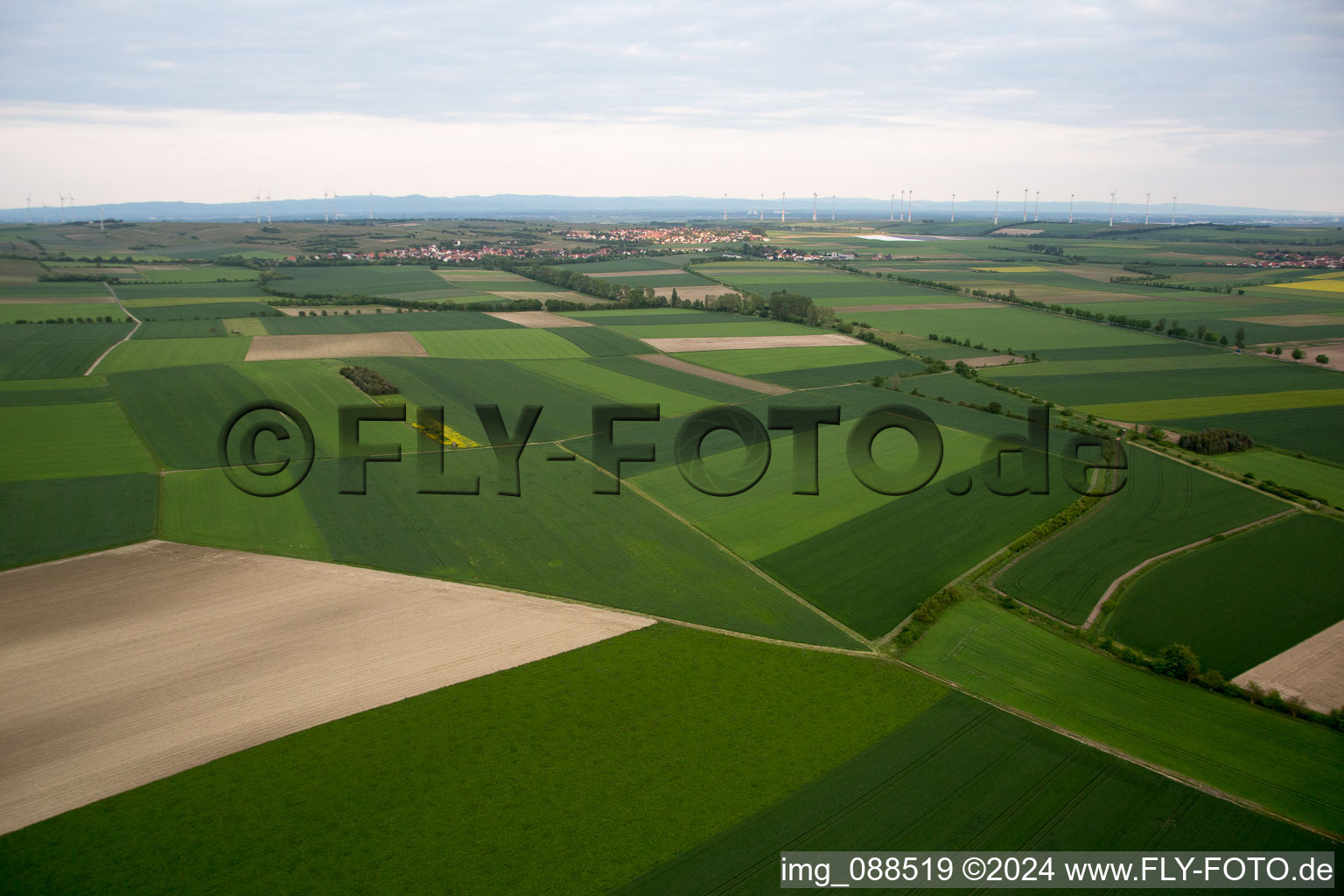 Gau-Odernheim in the state Rhineland-Palatinate, Germany