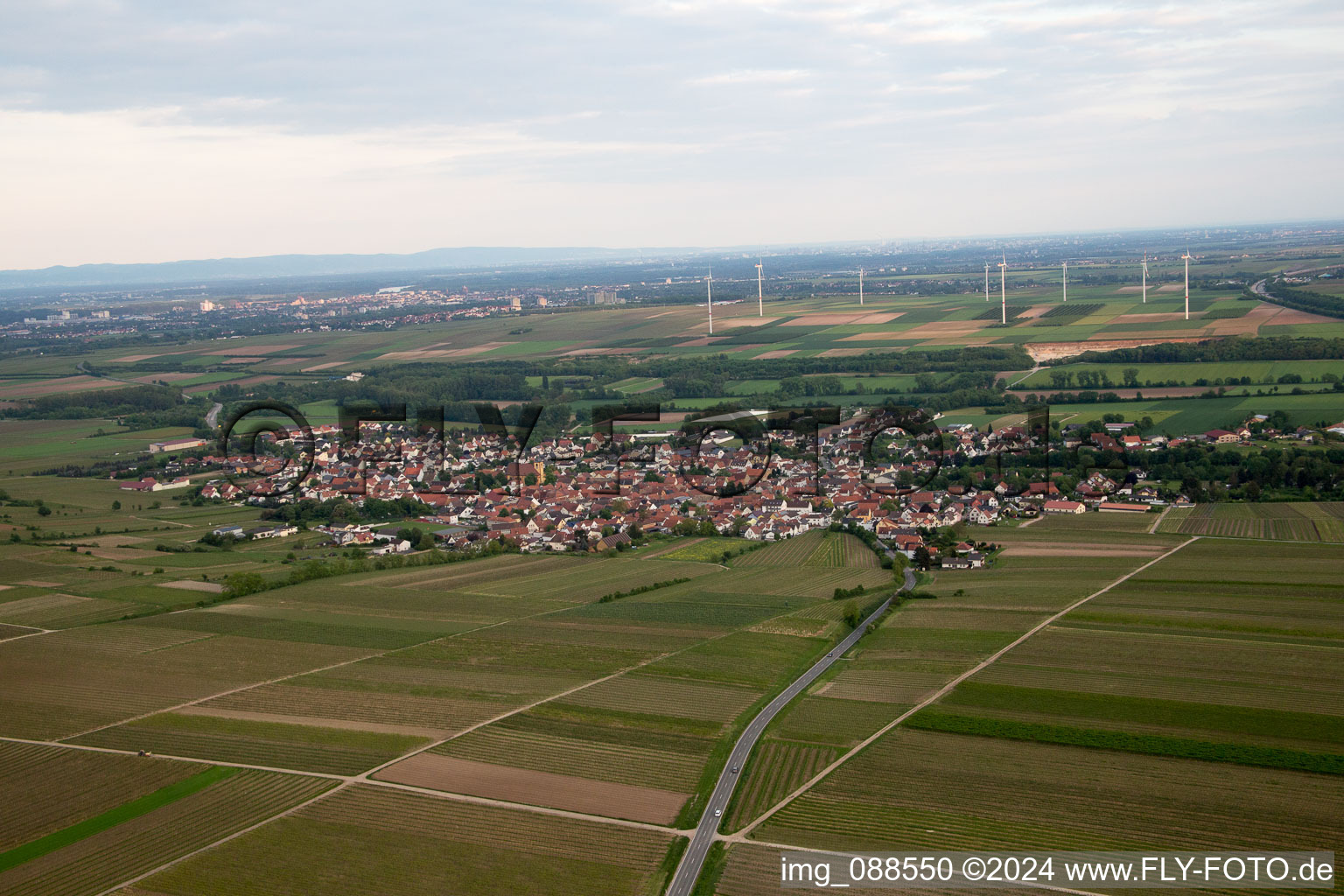 Aerial view of District Abenheim in Worms in the state Rhineland-Palatinate, Germany