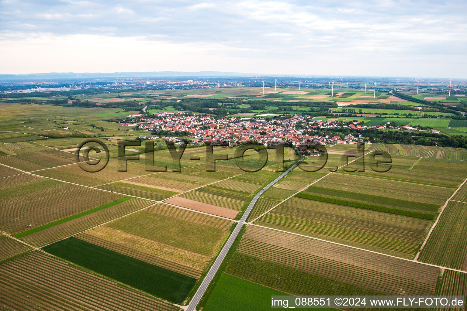 Aerial photograpy of District Abenheim in Worms in the state Rhineland-Palatinate, Germany