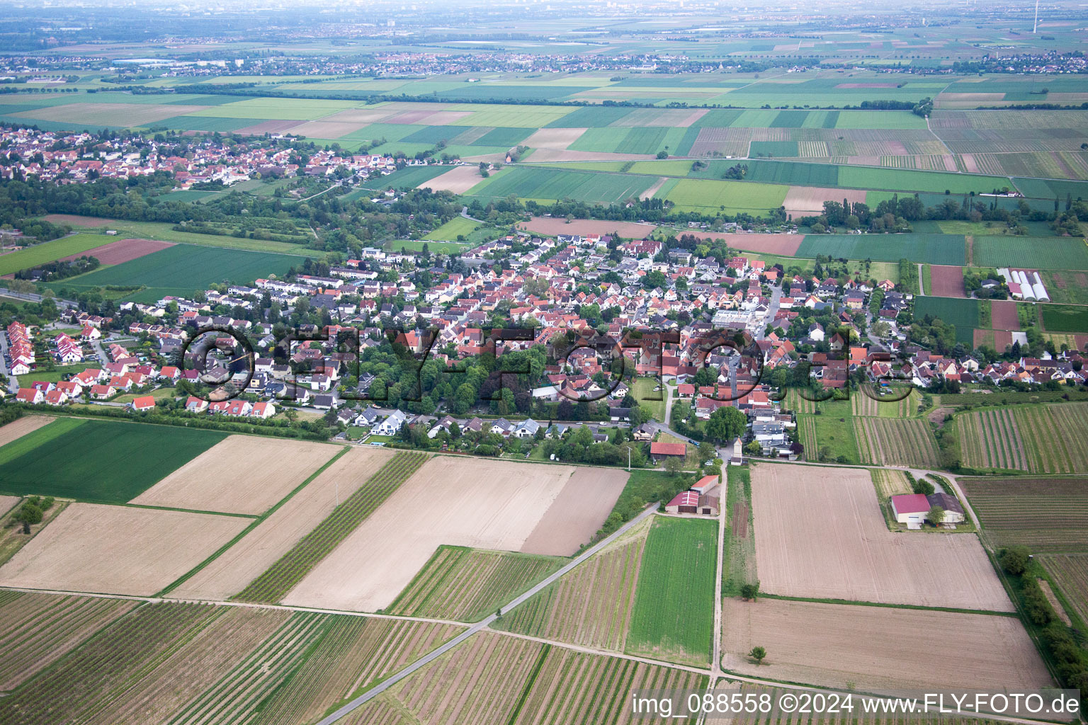 Aerial view of District Leiselheim in Worms in the state Rhineland-Palatinate, Germany