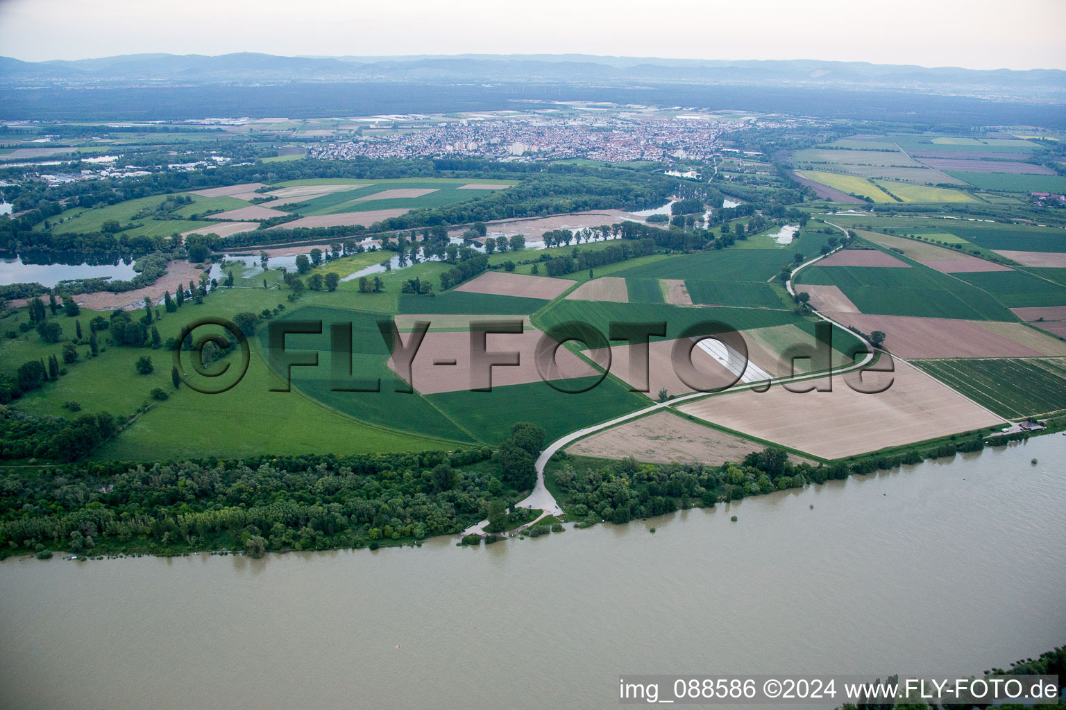 Lampertheimer Altrhein in Lampertheim in the state Hesse, Germany