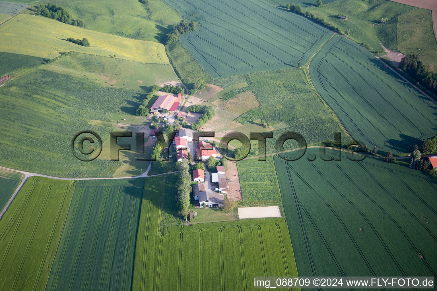 Hirtenwiese farm and Ährenhof horse boarding facility in Reinheim in the state Hesse, Germany