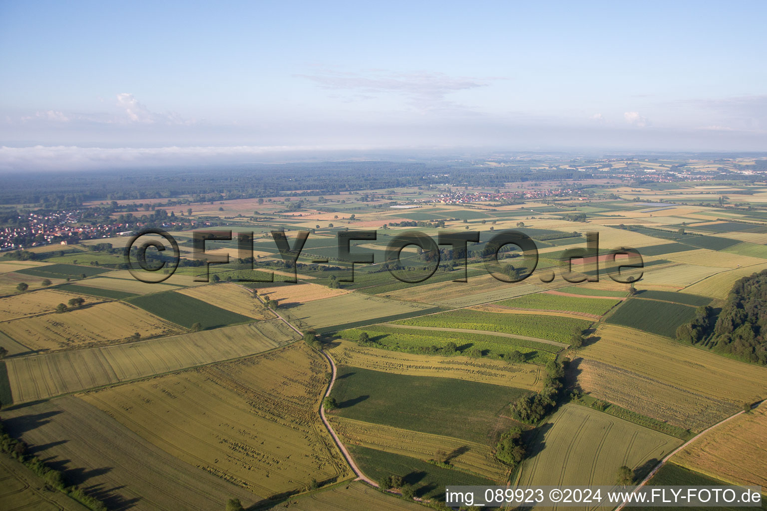 Schweighofen in the state Rhineland-Palatinate, Germany from the plane