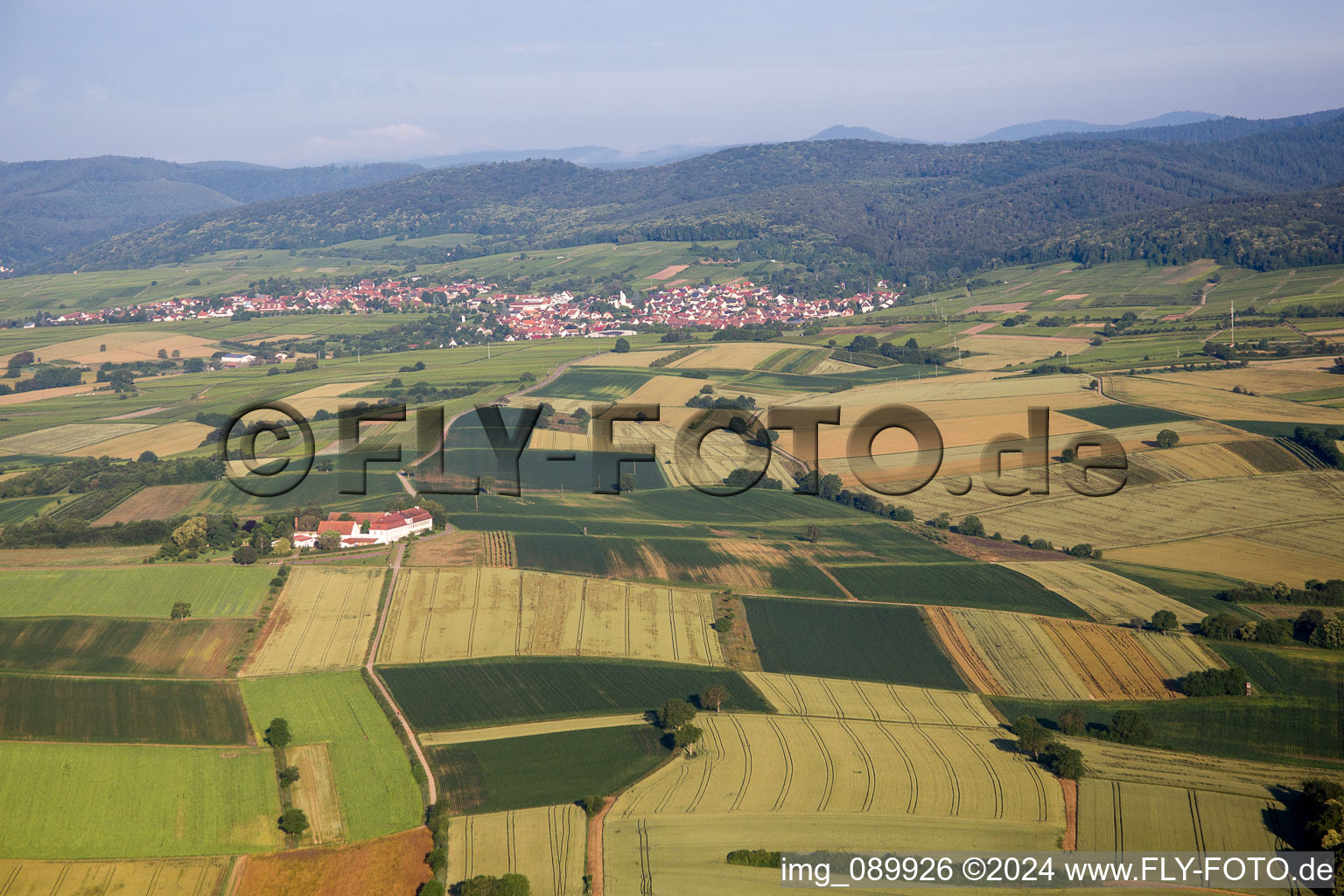 District Rechtenbach in Schweigen-Rechtenbach in the state Rhineland-Palatinate, Germany from above