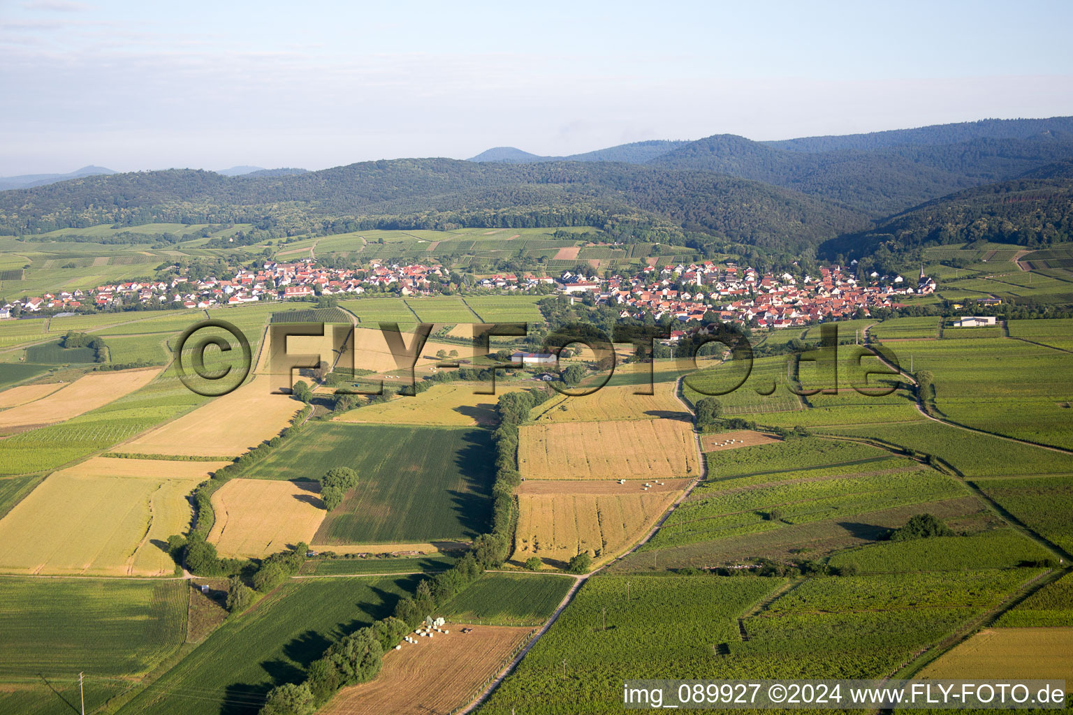 District Rechtenbach in Schweigen-Rechtenbach in the state Rhineland-Palatinate, Germany out of the air