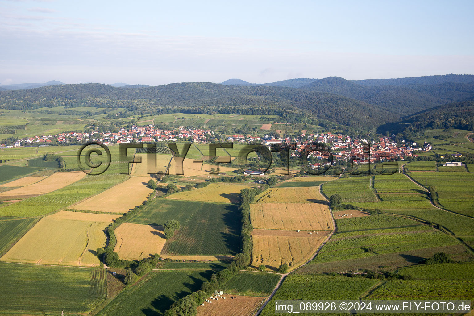 District Rechtenbach in Schweigen-Rechtenbach in the state Rhineland-Palatinate, Germany seen from above