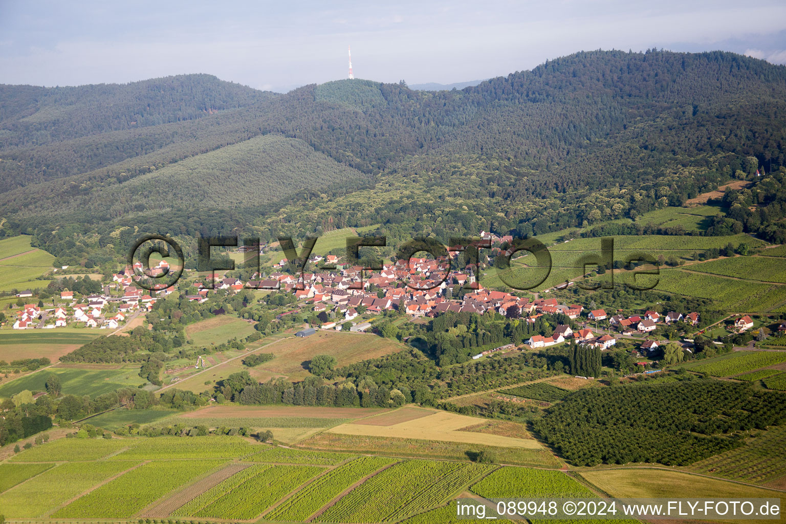 Rott in the state Bas-Rhin, France from the plane