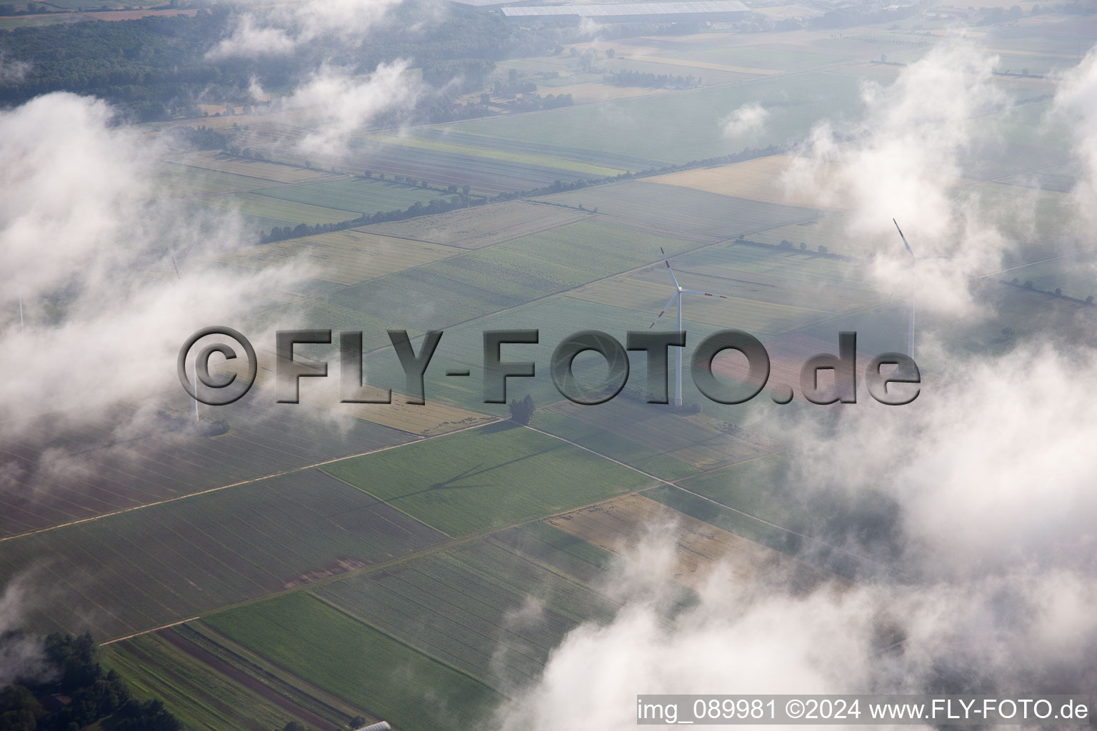 Aerial view of Minfeld in the state Rhineland-Palatinate, Germany