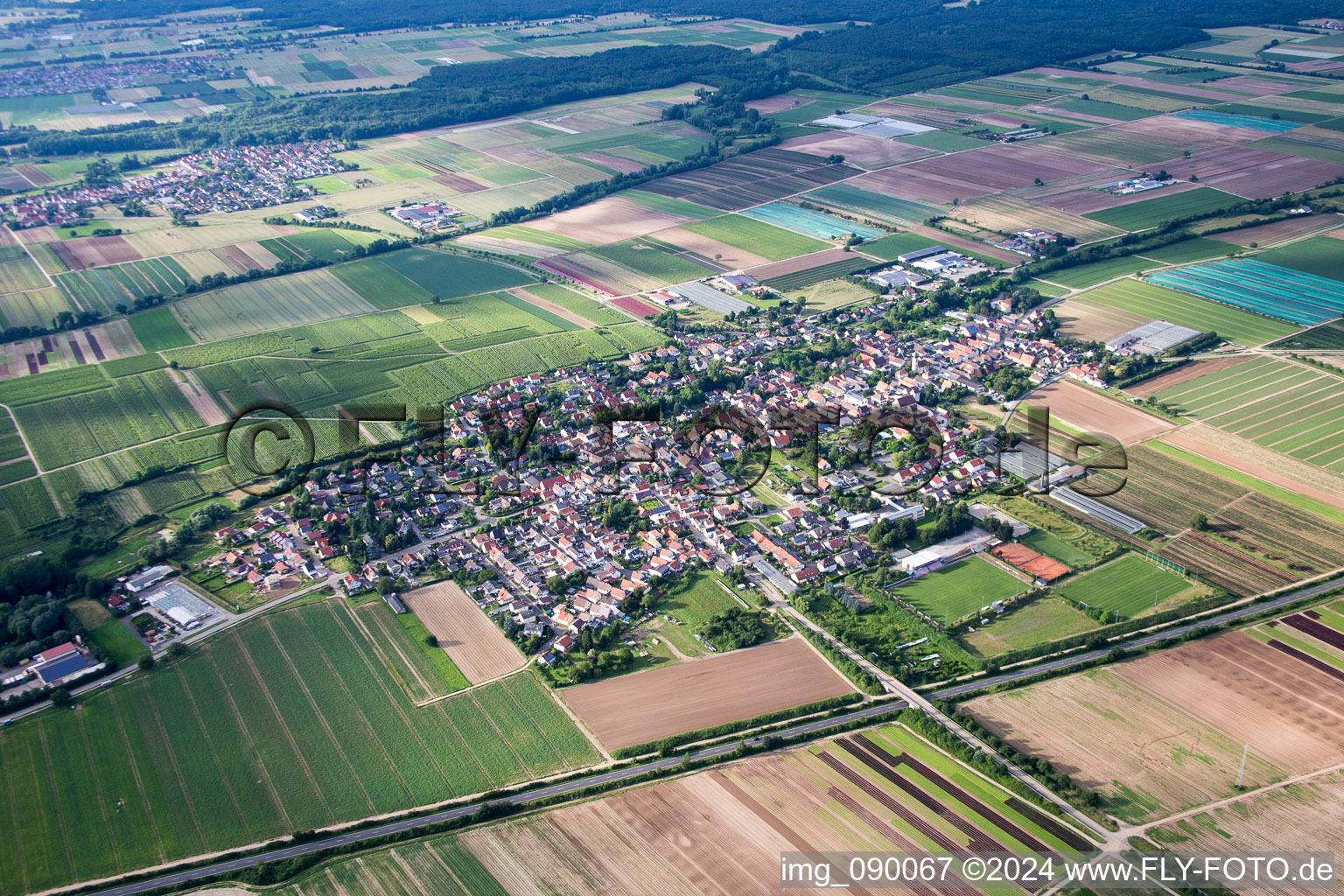 Aerial view of Village - view on the edge of agricultural fields and farmland in Weingarten (Pfalz) in the state Rhineland-Palatinate, Germany