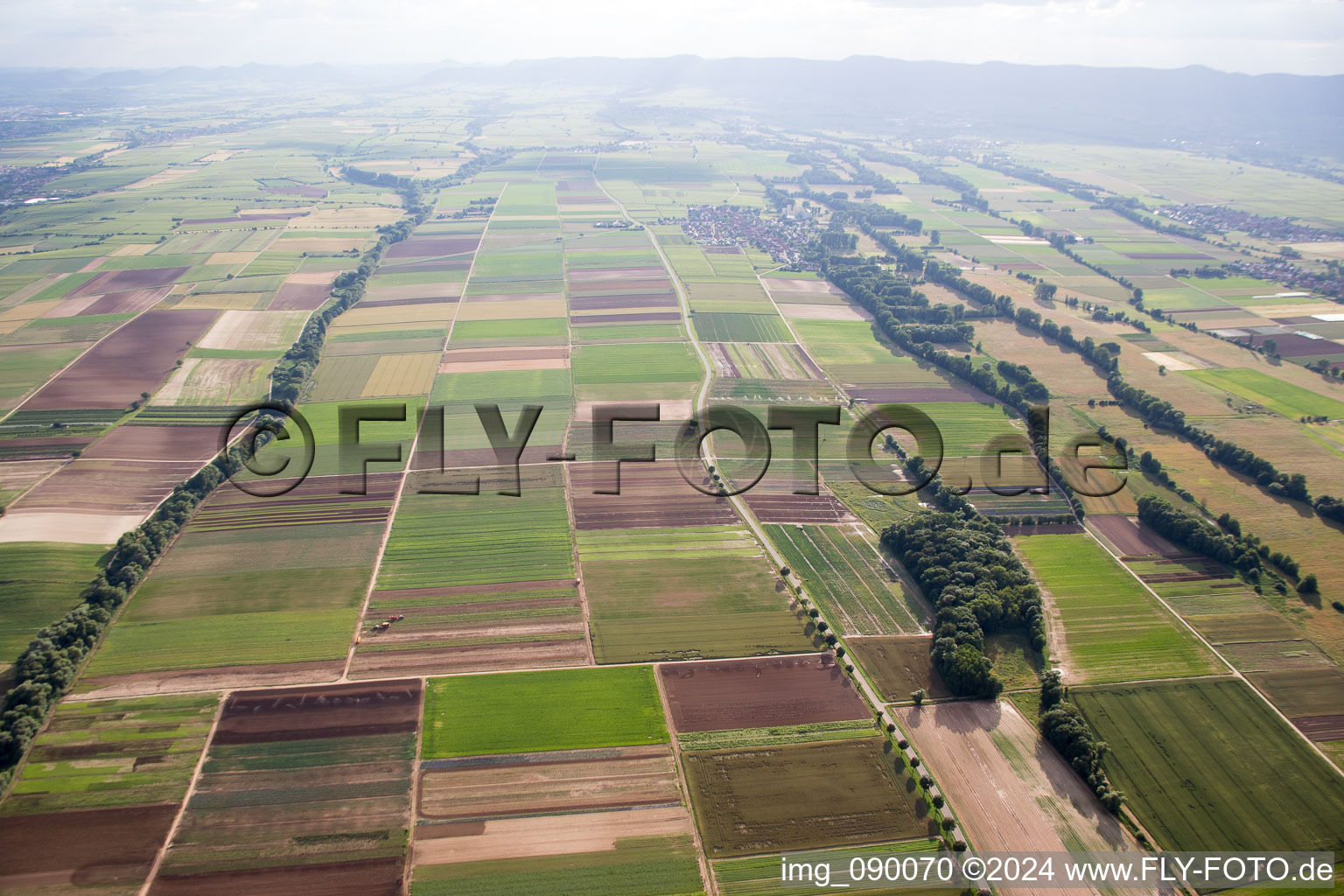 Freisbach in the state Rhineland-Palatinate, Germany from above