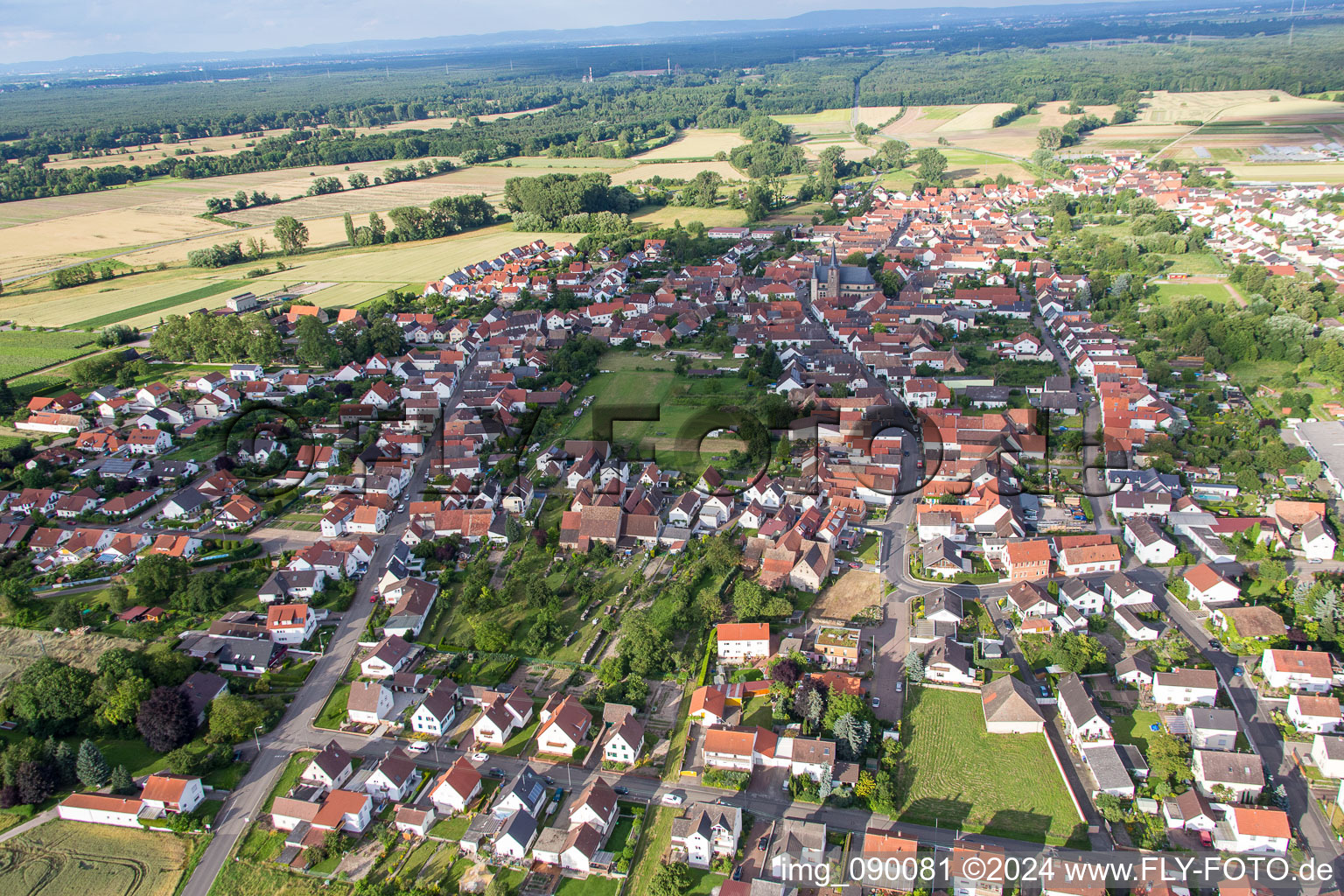 From the west in the district Geinsheim in Neustadt an der Weinstraße in the state Rhineland-Palatinate, Germany