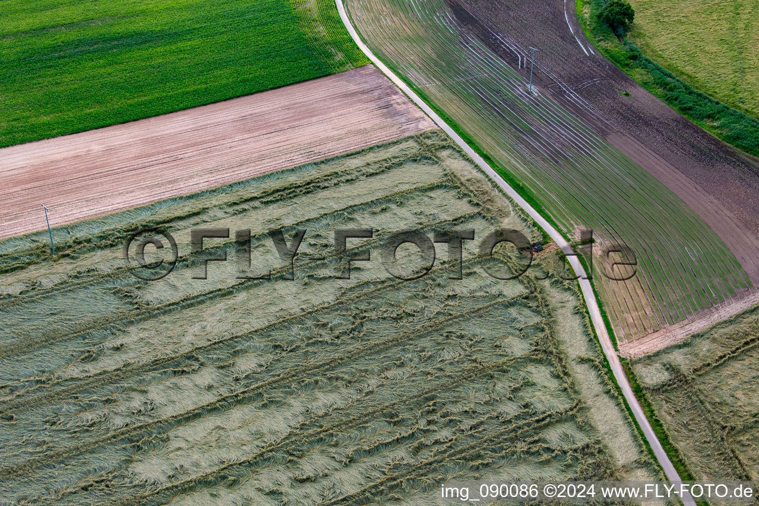 Aerial view of Grain field with storm damage in the district Geinsheim in Neustadt an der Weinstraße in the state Rhineland-Palatinate, Germany