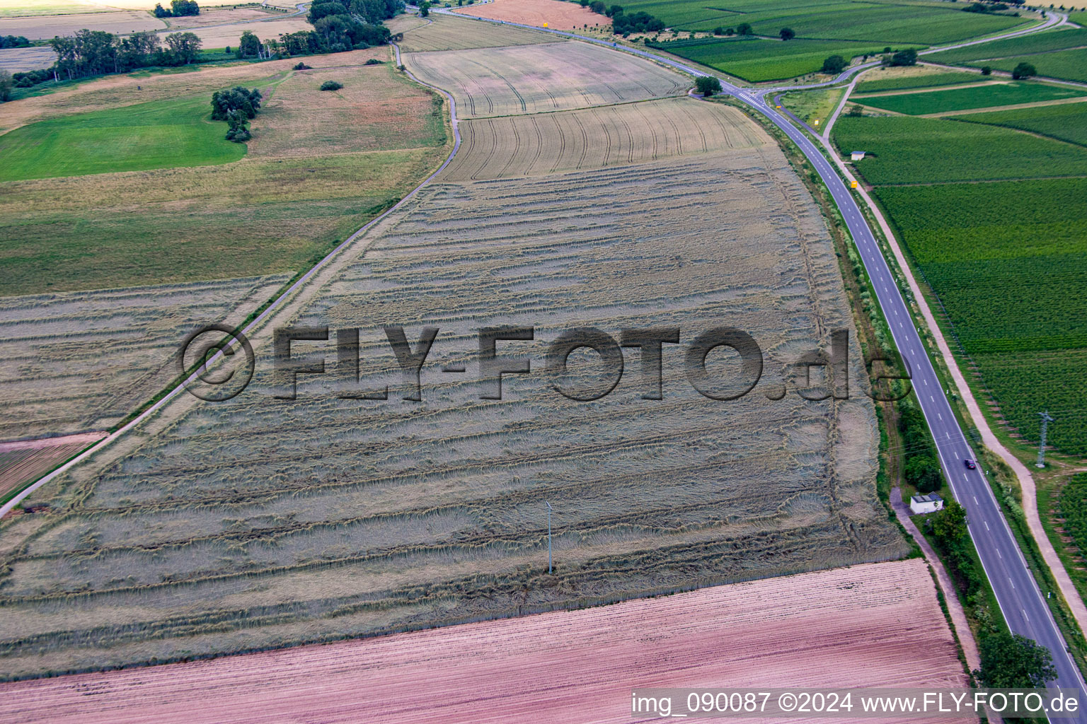 Aerial photograpy of Grain field with storm damage in the district Geinsheim in Neustadt an der Weinstraße in the state Rhineland-Palatinate, Germany